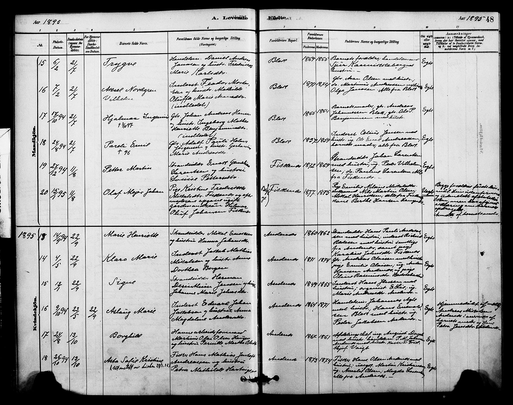 Ministerialprotokoller, klokkerbøker og fødselsregistre - Nordland, SAT/A-1459/899/L1436: Parish register (official) no. 899A04, 1881-1896, p. 48