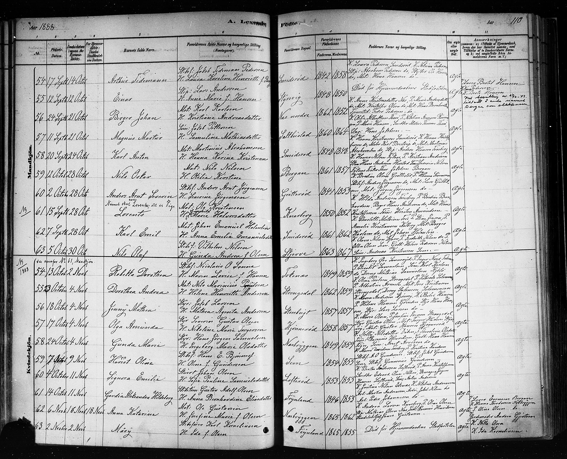 Nøtterøy kirkebøker, AV/SAKO-A-354/F/Fa/L0008: Parish register (official) no. I 8, 1878-1893, p. 110