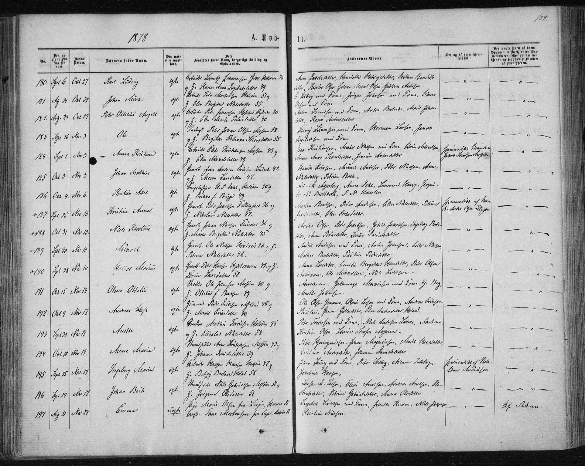 Ministerialprotokoller, klokkerbøker og fødselsregistre - Nordland, SAT/A-1459/820/L0294: Parish register (official) no. 820A15, 1866-1879, p. 134