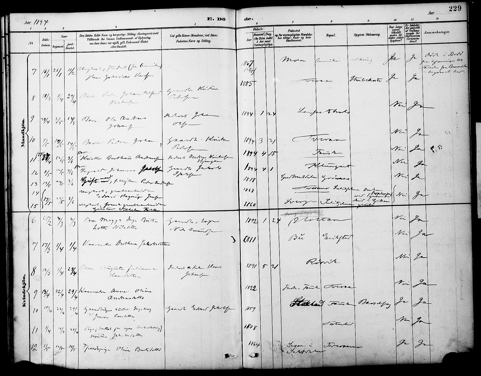 Ministerialprotokoller, klokkerbøker og fødselsregistre - Nordland, AV/SAT-A-1459/849/L0690: Parish register (official) no. 849A02, 1890-1897, p. 229