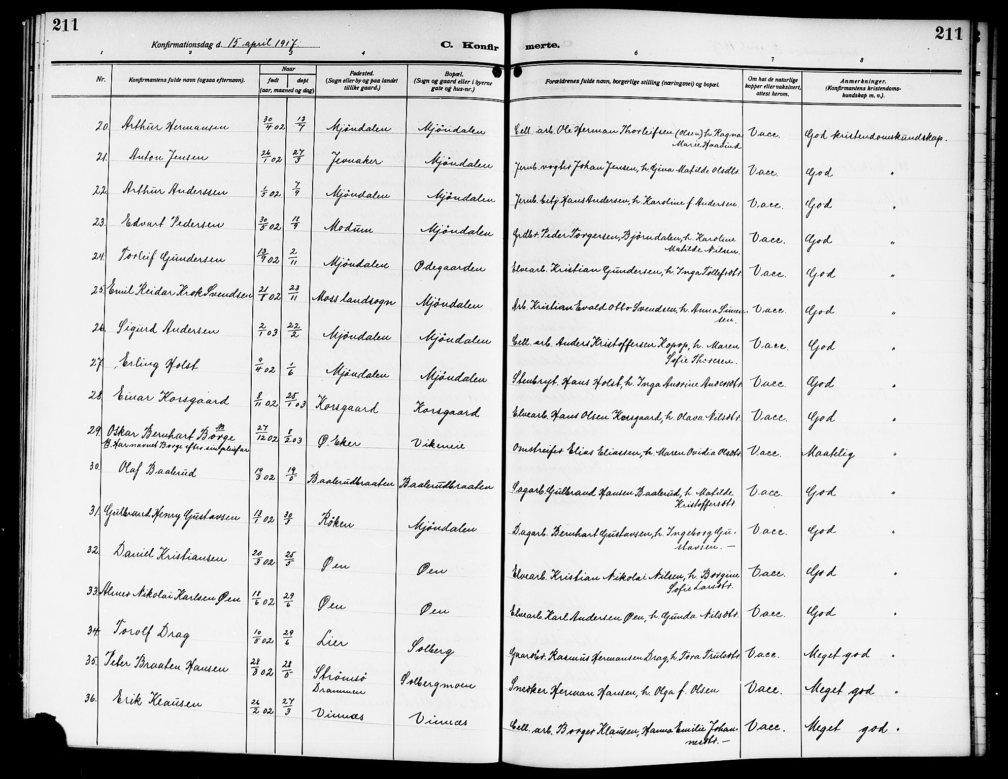 Nedre Eiker kirkebøker, AV/SAKO-A-612/G/Ga/L0005: Parish register (copy) no. 5, 1913-1921, p. 211