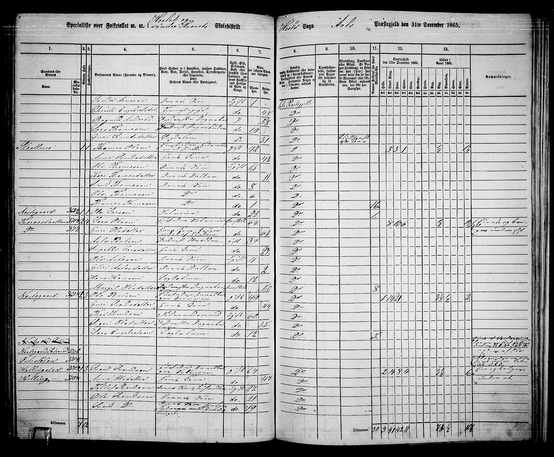 RA, 1865 census for Ål, 1865, p. 187