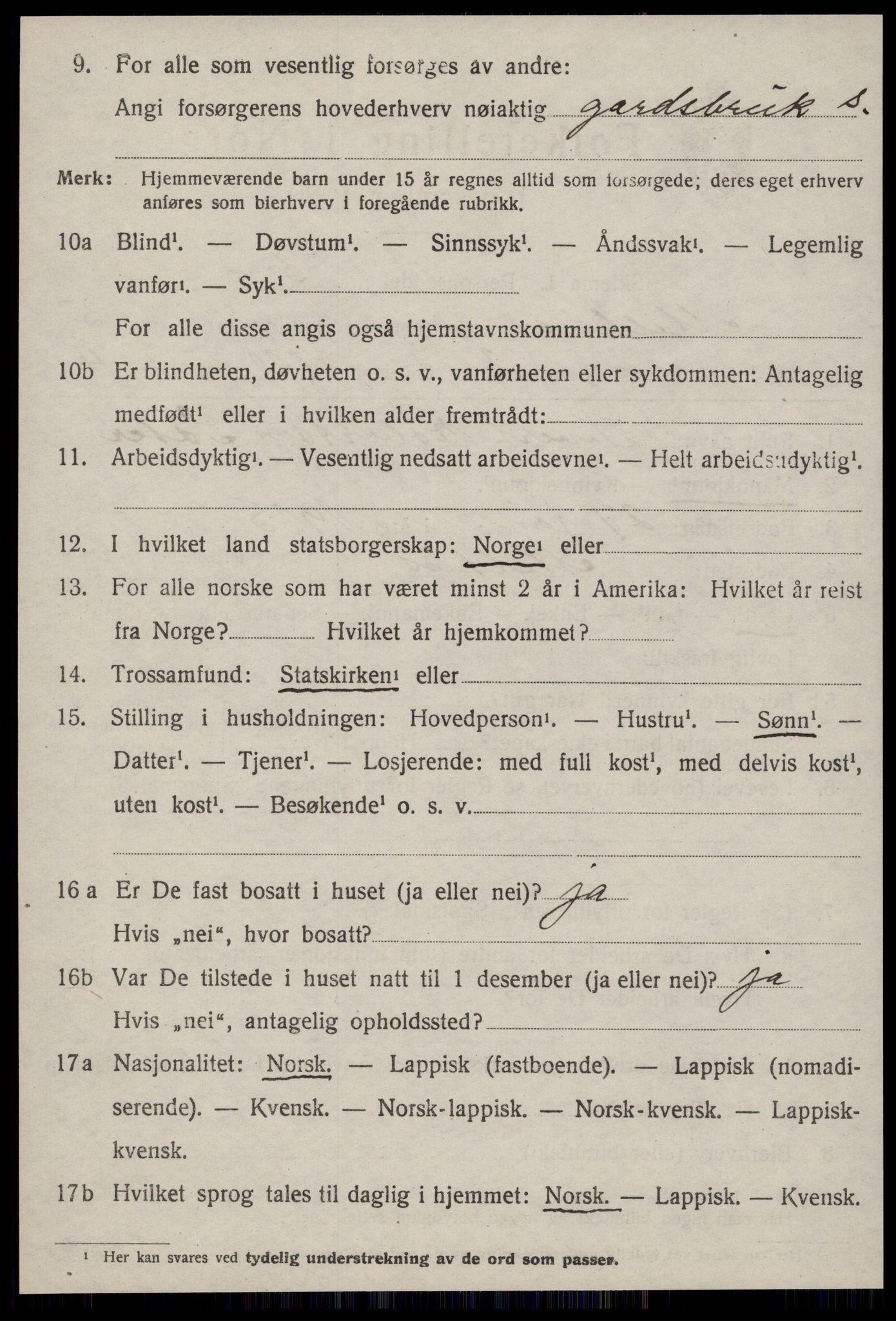 SAT, 1920 census for Melhus, 1920, p. 4958