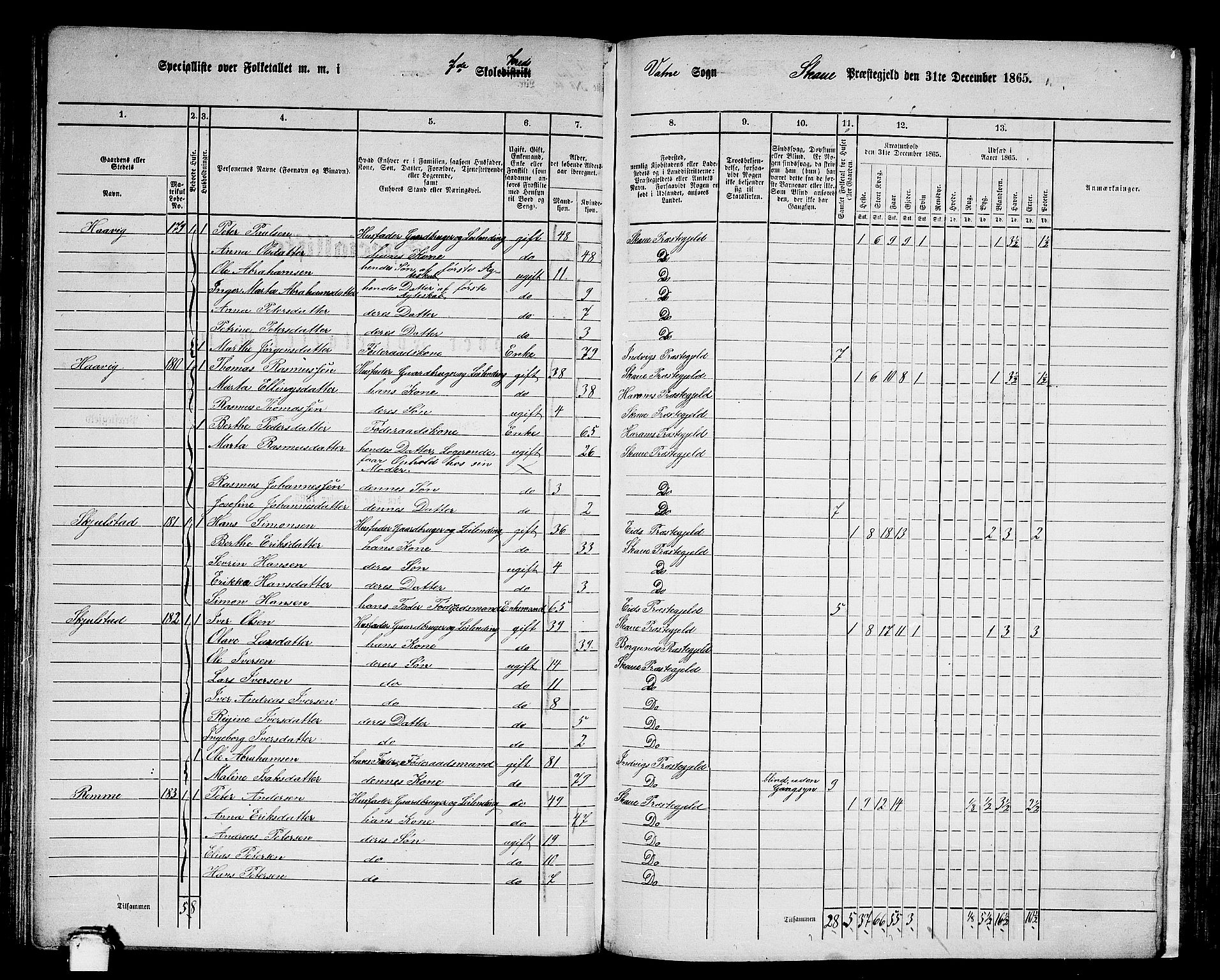 RA, 1865 census for Skodje, 1865, p. 99