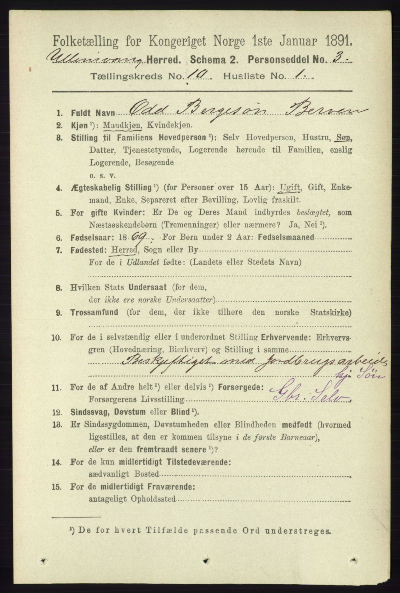 RA, 1891 census for 1230 Ullensvang, 1891, p. 3751