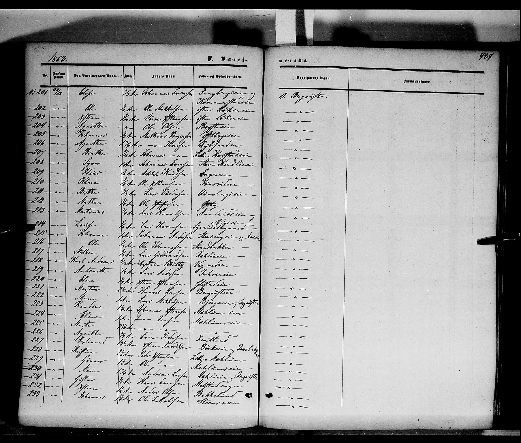 Ringsaker prestekontor, AV/SAH-PREST-014/K/Ka/L0010: Parish register (official) no. 10, 1861-1869, p. 487