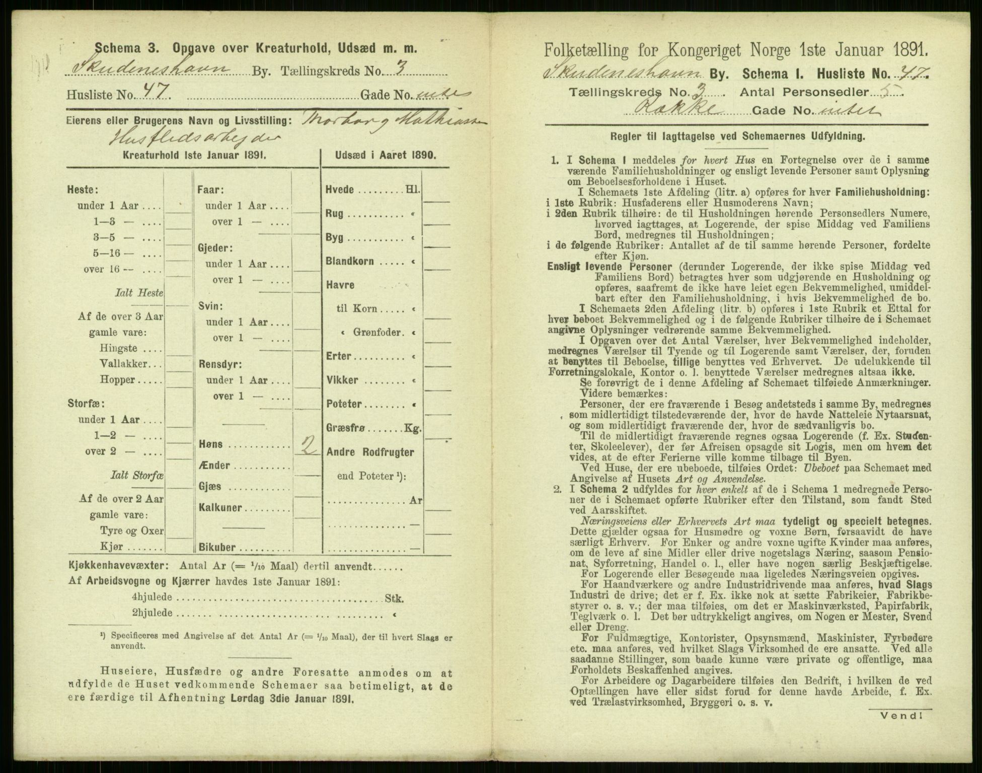 RA, 1891 census for 1104 Skudeneshavn, 1891, p. 284