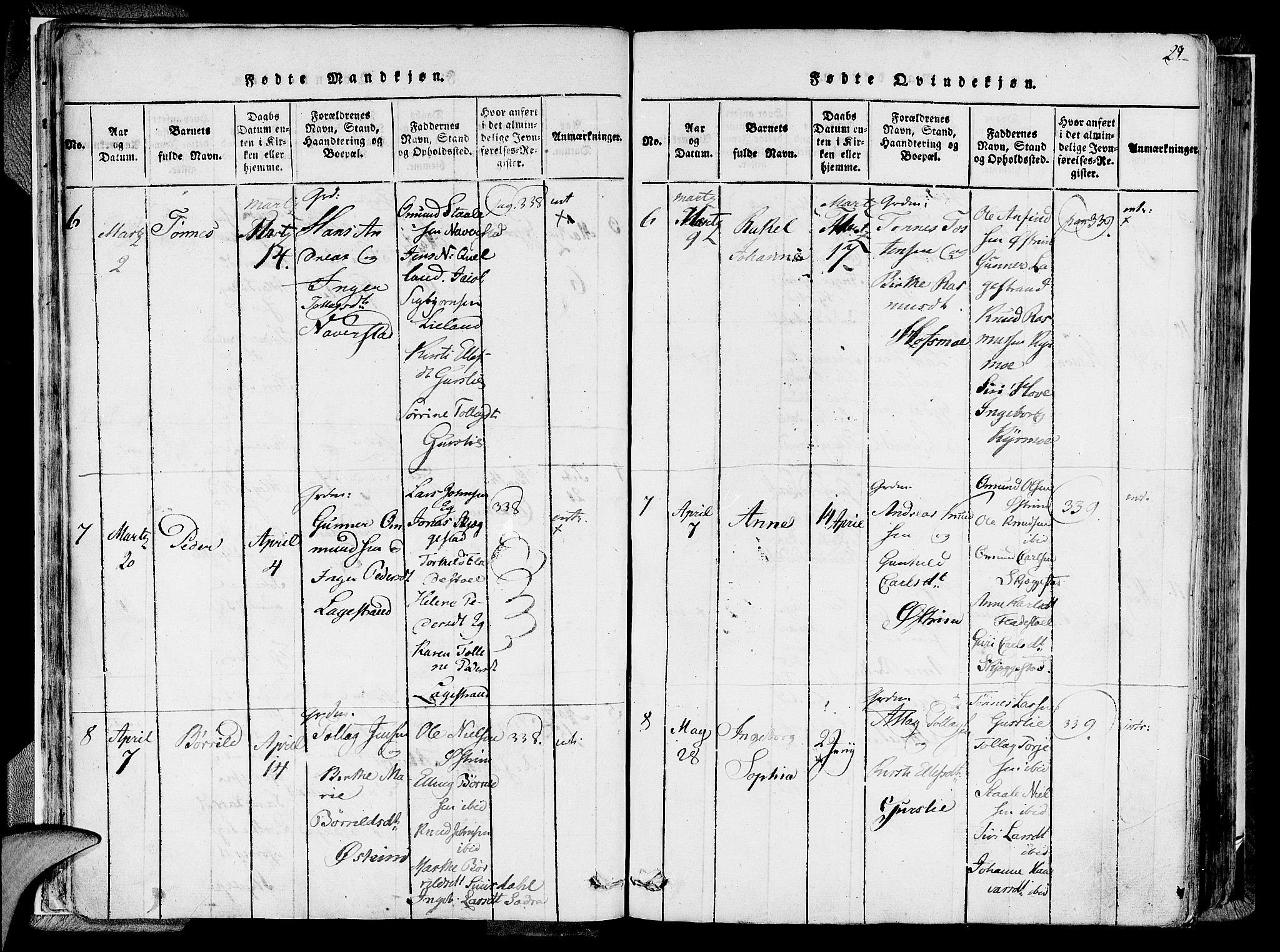 Lund sokneprestkontor, AV/SAST-A-101809/S06/L0005: Parish register (official) no. A 5, 1815-1833, p. 29