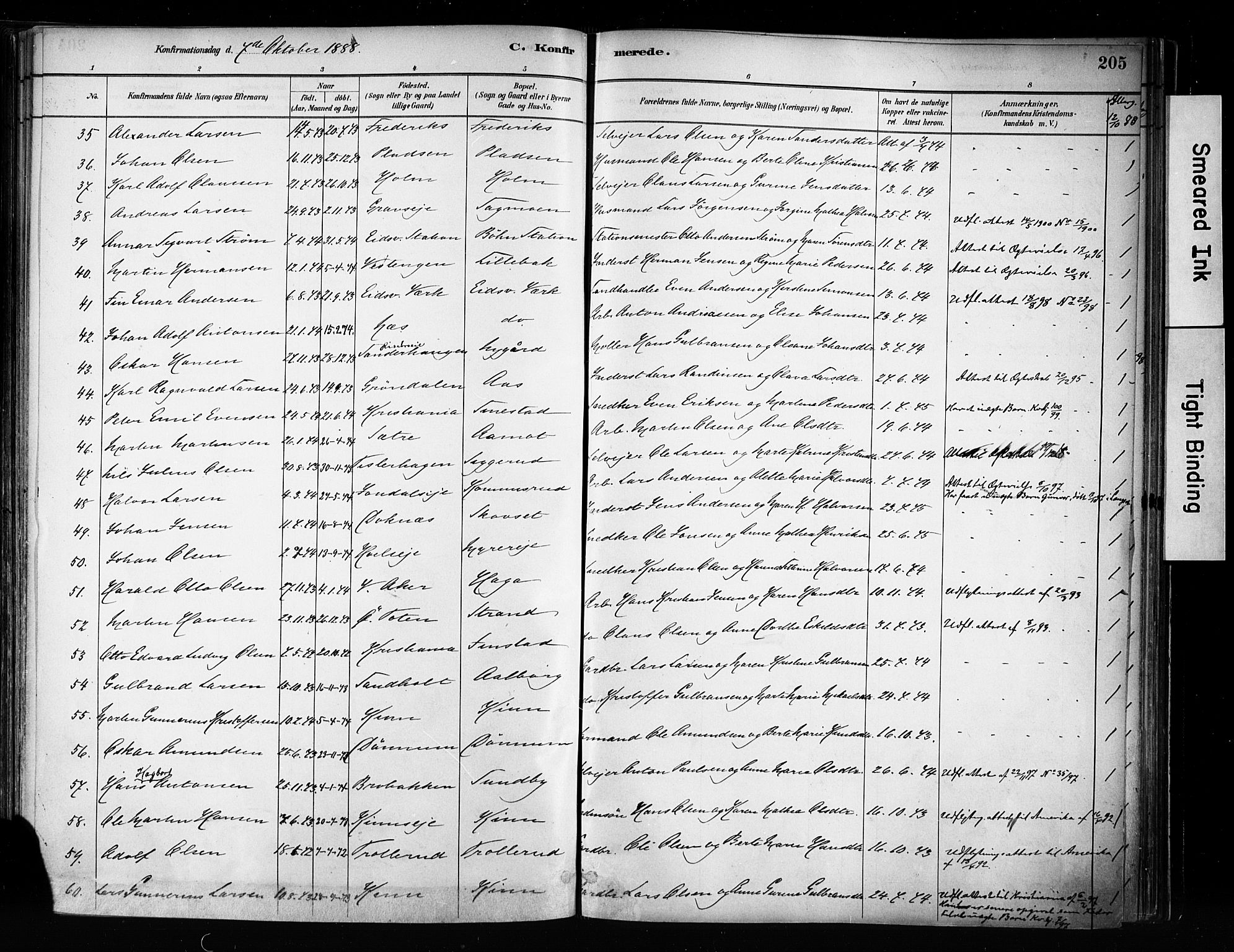 Eidsvoll prestekontor Kirkebøker, SAO/A-10888/F/Fa/L0002: Parish register (official) no. I 2, 1882-1895, p. 205