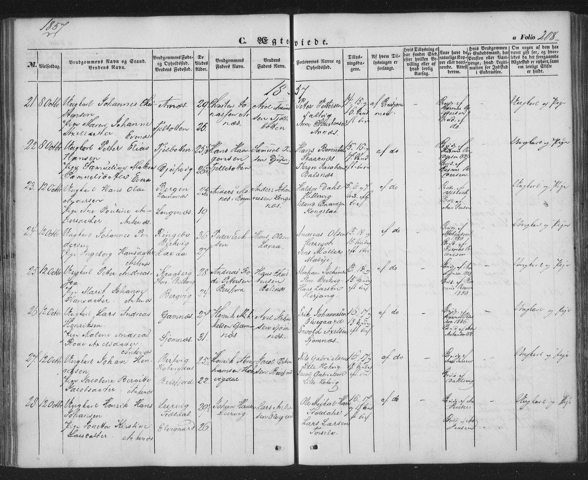 Ministerialprotokoller, klokkerbøker og fødselsregistre - Nordland, AV/SAT-A-1459/863/L0895: Parish register (official) no. 863A07, 1851-1860, p. 208