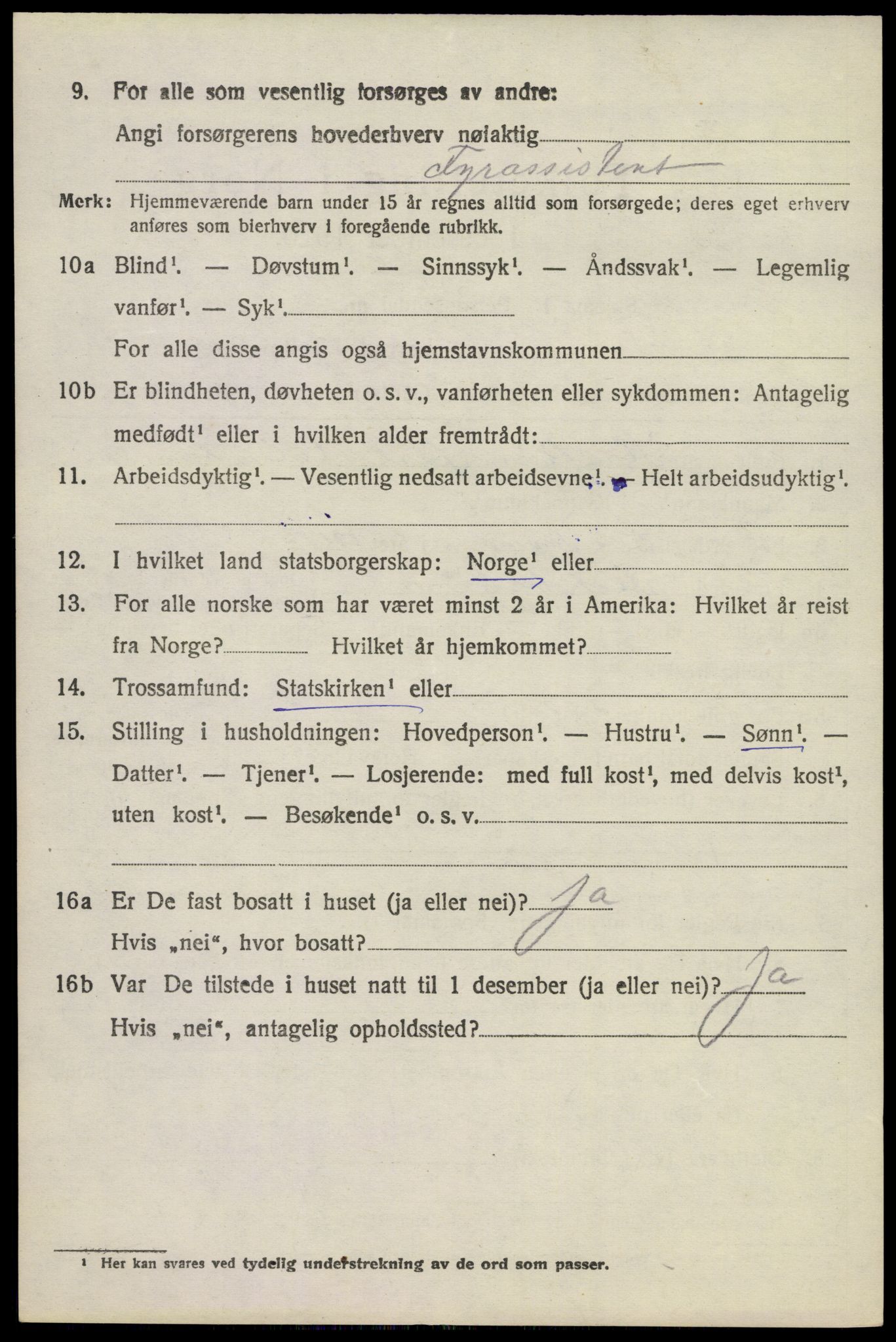 SAKO, 1920 census for Brunlanes, 1920, p. 10500