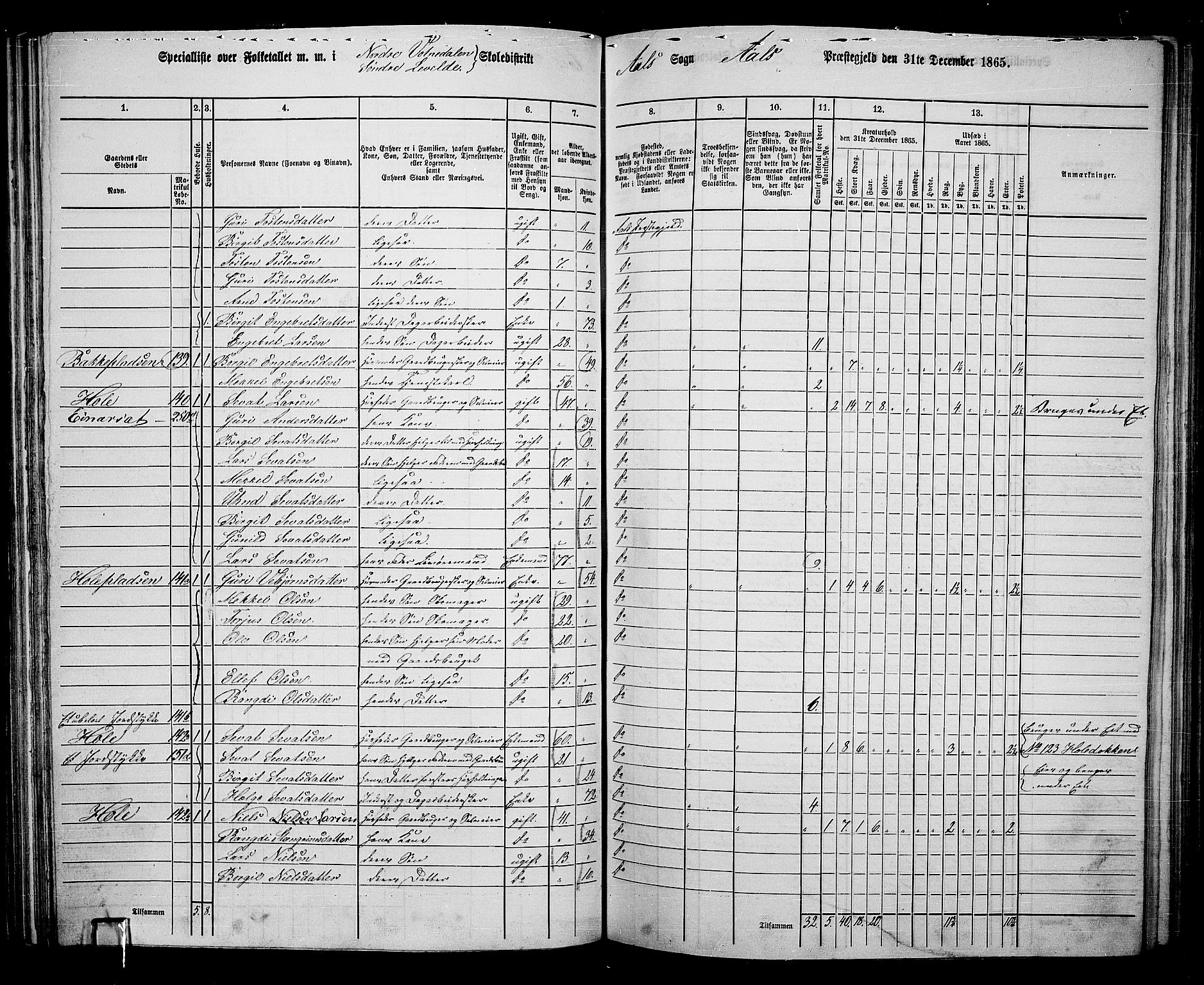 RA, 1865 census for Ål, 1865, p. 94