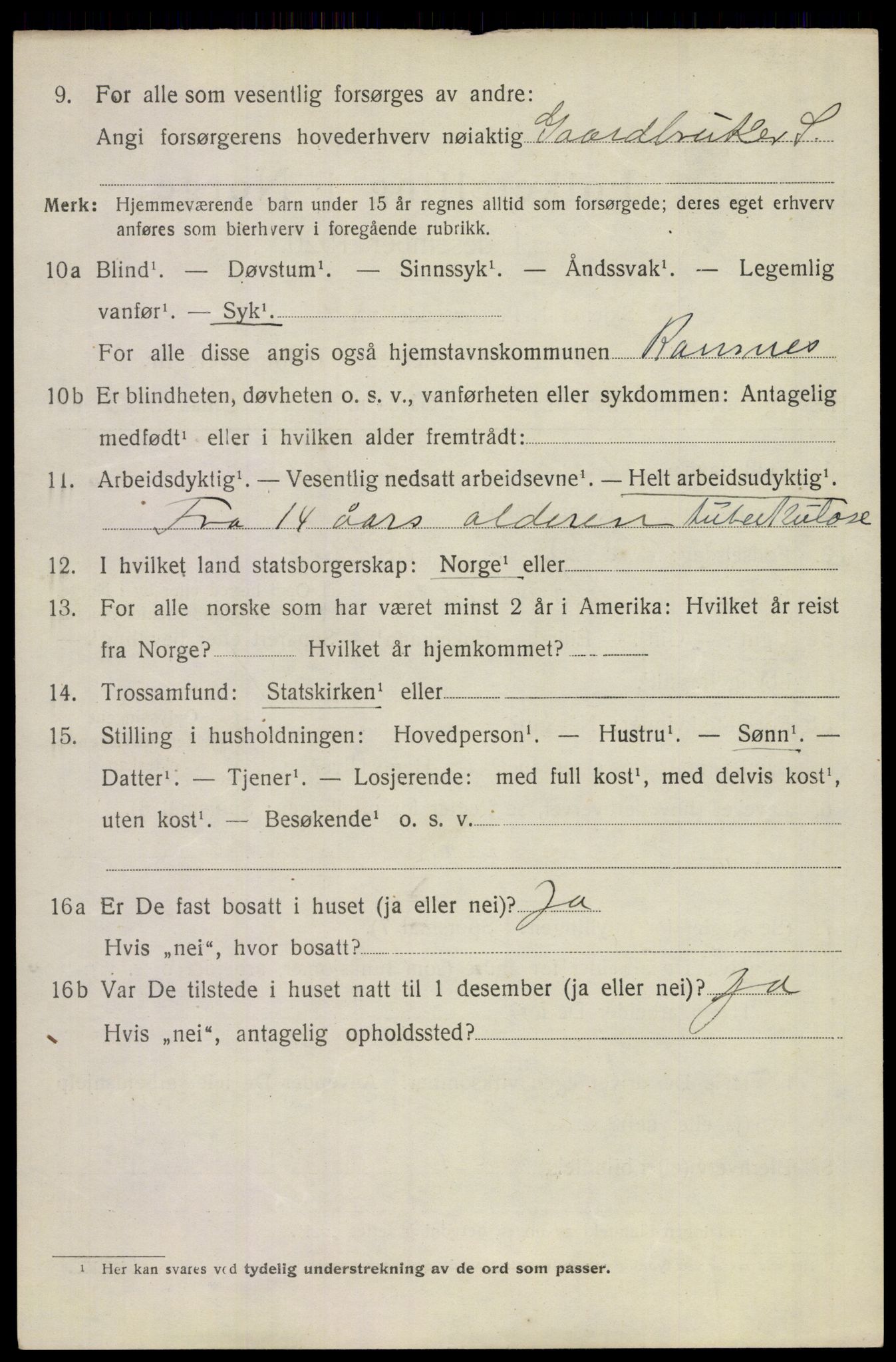 SAKO, 1920 census for Ramnes, 1920, p. 1517