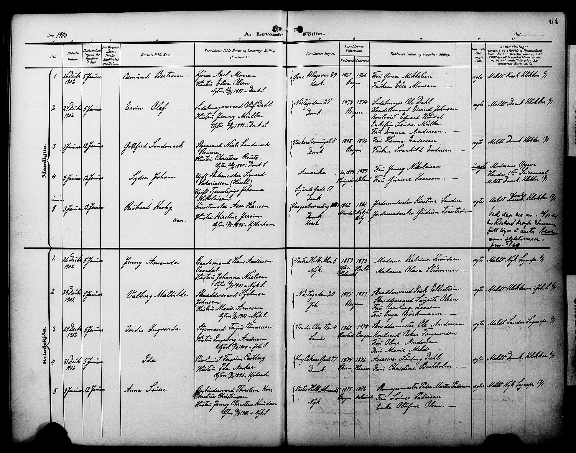 Fødselsstiftelsens sokneprestembete*, SAB/-: Parish register (official) no. A 3, 1901-1910, p. 64