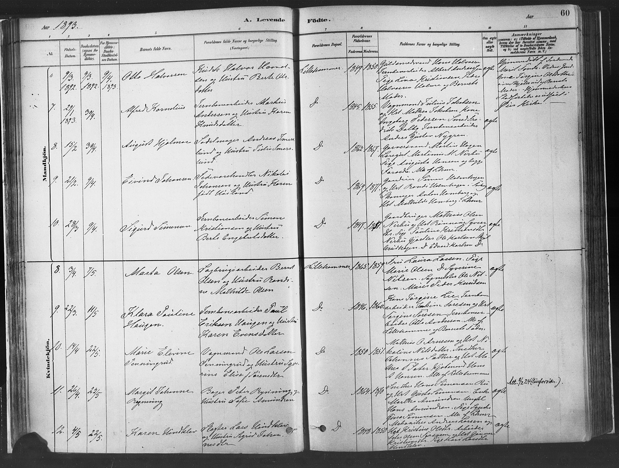 Fåberg prestekontor, AV/SAH-PREST-086/H/Ha/Haa/L0010: Parish register (official) no. 10, 1879-1900, p. 60