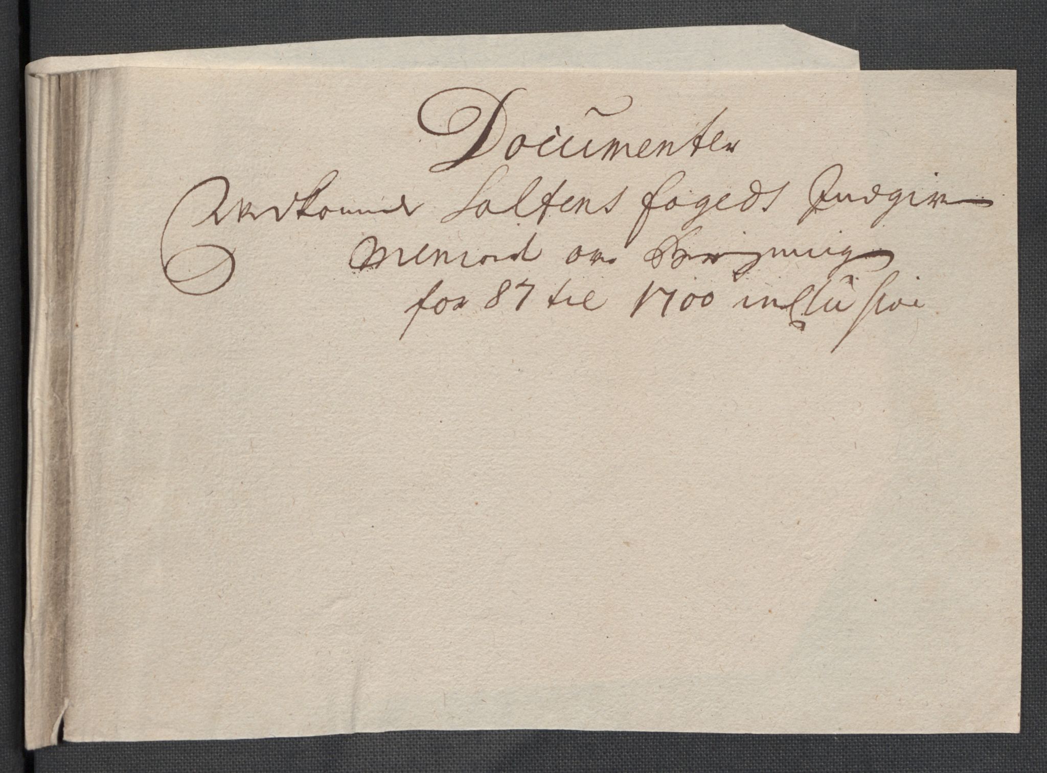 Rentekammeret inntil 1814, Reviderte regnskaper, Fogderegnskap, RA/EA-4092/R66/L4579: Fogderegnskap Salten, 1697-1700, p. 497