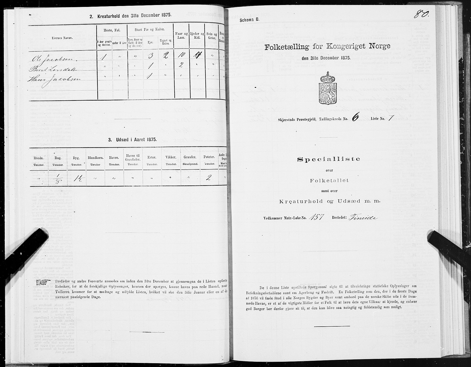 SAT, 1875 census for 1842P Skjerstad, 1875, p. 3080
