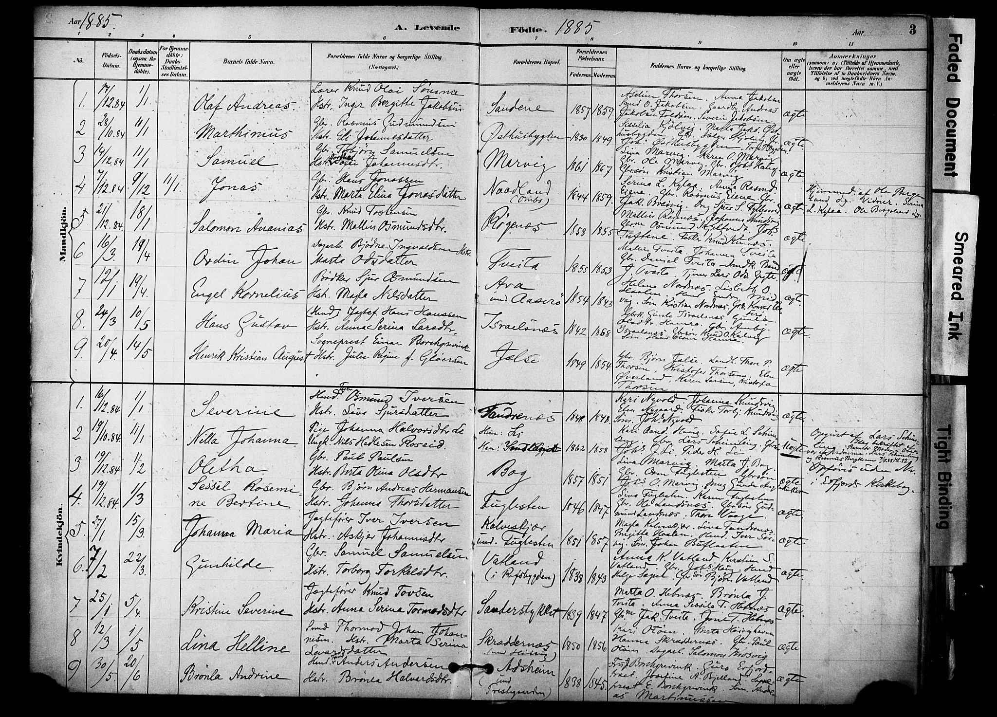 Jelsa sokneprestkontor, SAST/A-101842/01/IV: Parish register (official) no. A 10, 1884-1906, p. 3