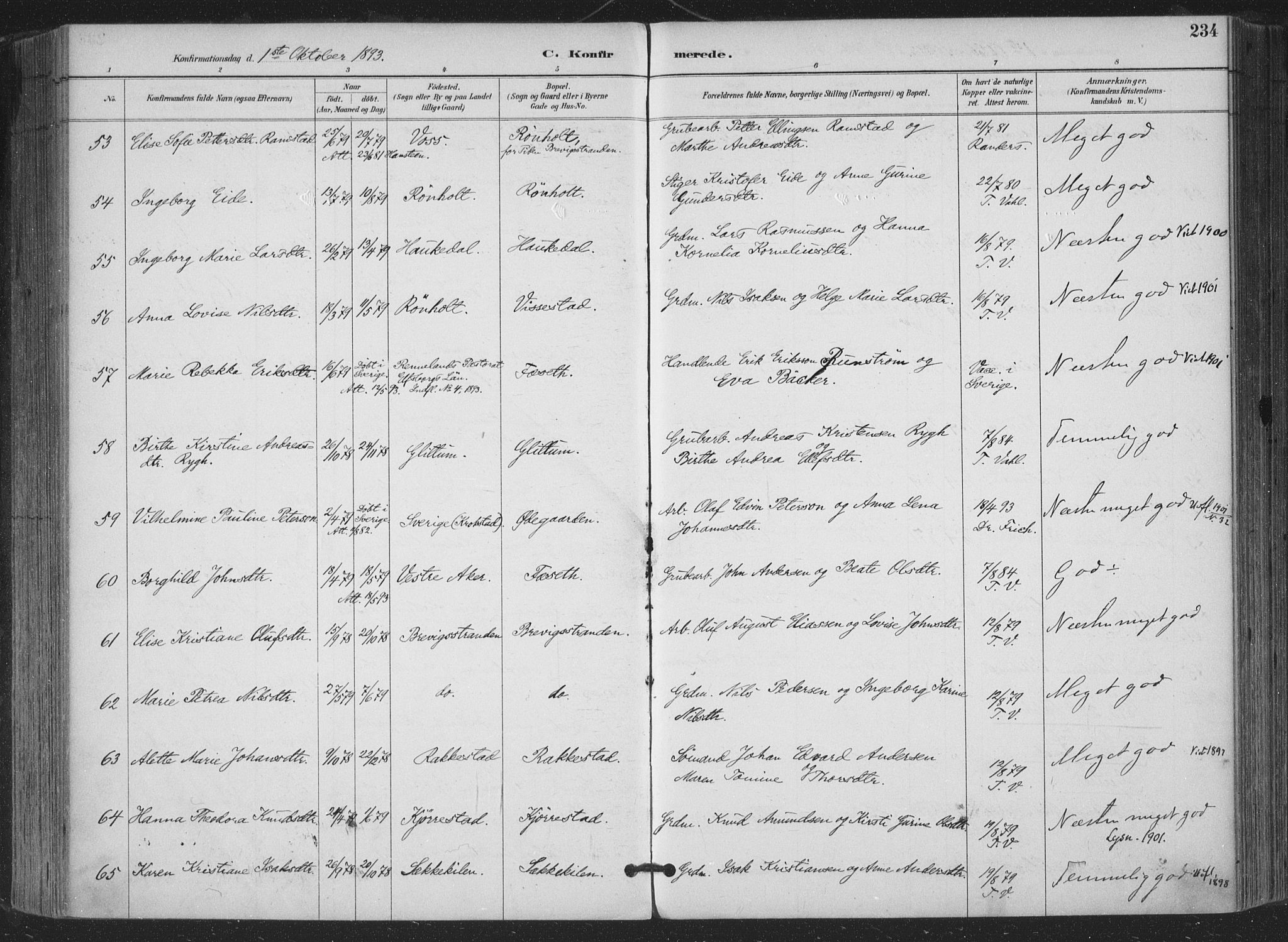 Bamble kirkebøker, AV/SAKO-A-253/F/Fa/L0008: Parish register (official) no. I 8, 1888-1900, p. 234