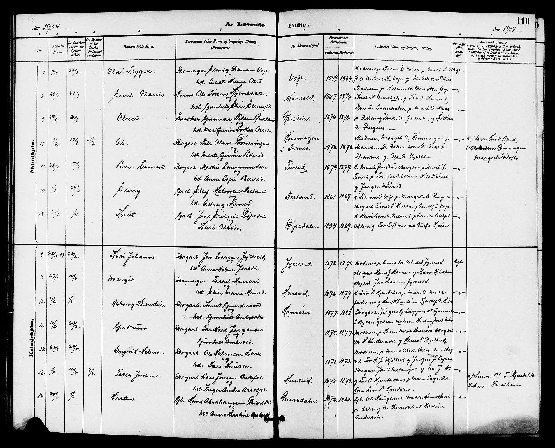 Drangedal kirkebøker, SAKO/A-258/G/Ga/L0003: Parish register (copy) no. I 3, 1887-1906, p. 116
