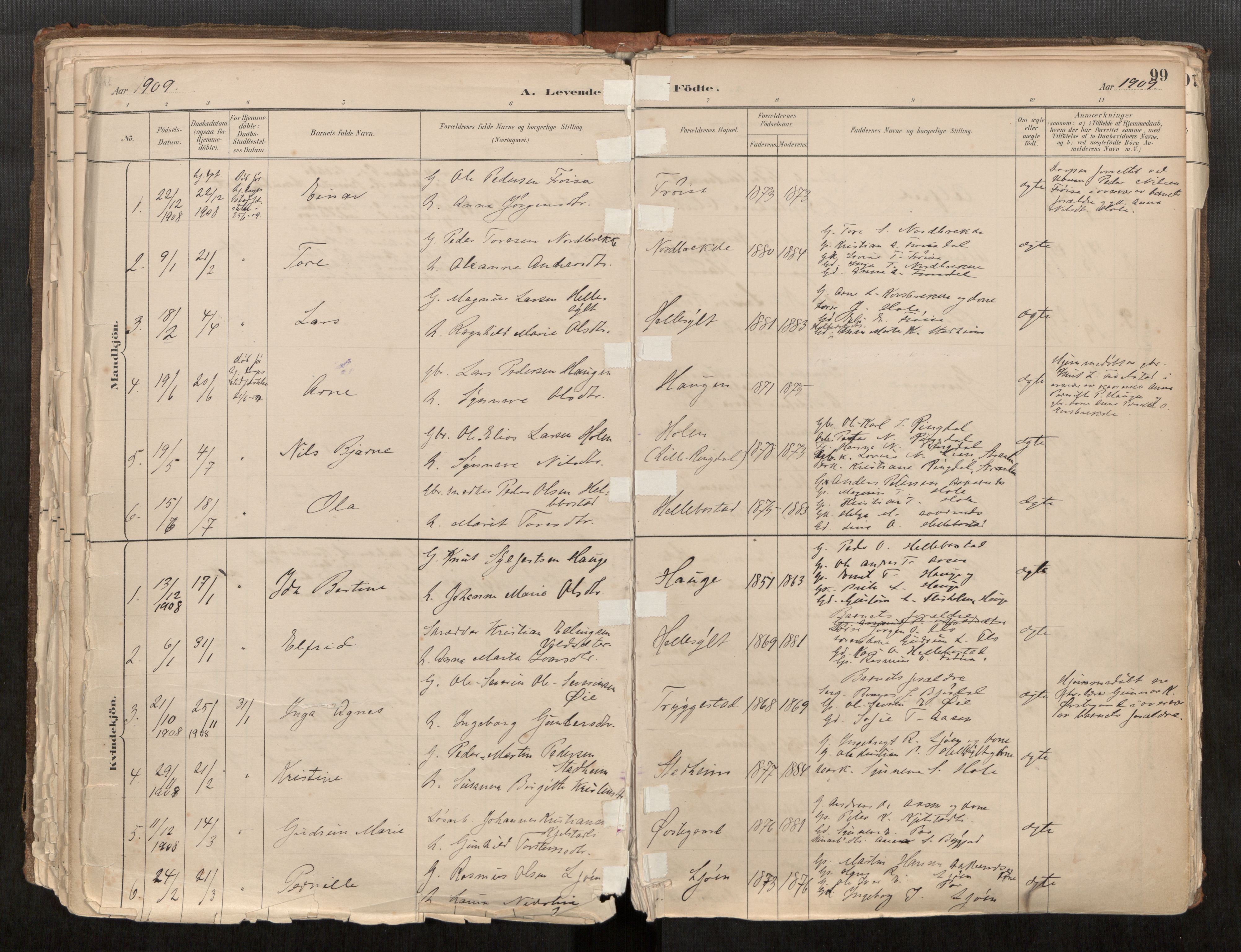 Sunnylven sokneprestkontor, SAT/A-1007: Parish register (official) no. 517A08, 1882-1939, p. 99