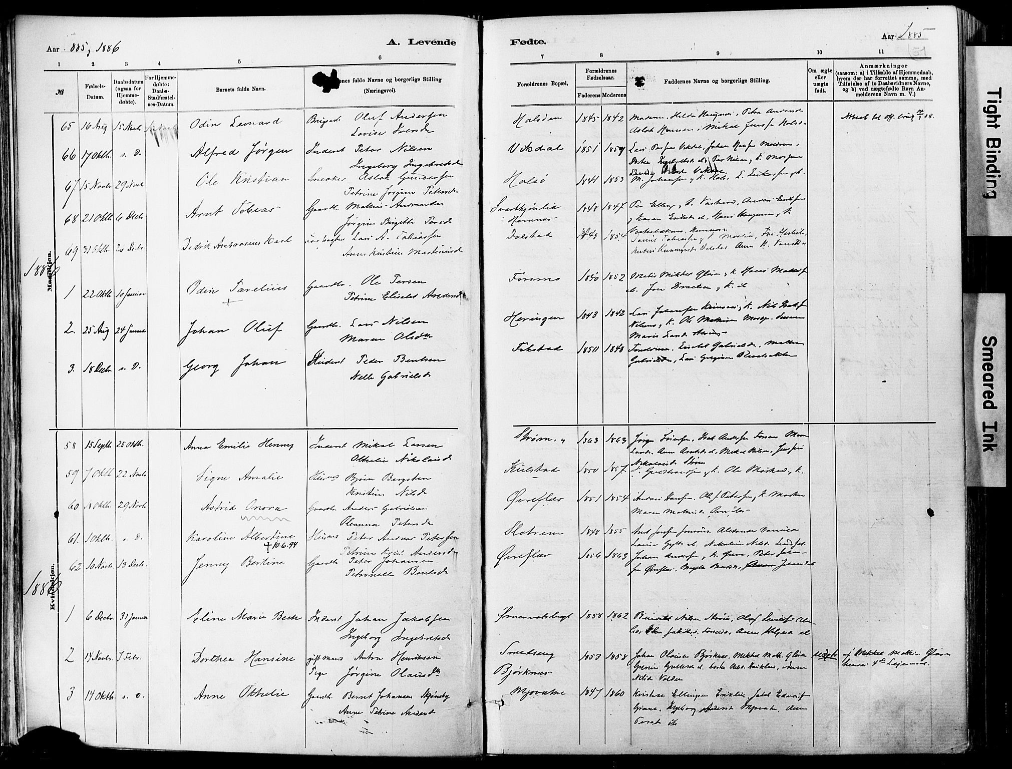 Ministerialprotokoller, klokkerbøker og fødselsregistre - Nordland, AV/SAT-A-1459/820/L0295: Parish register (official) no. 820A16, 1880-1896, p. 51