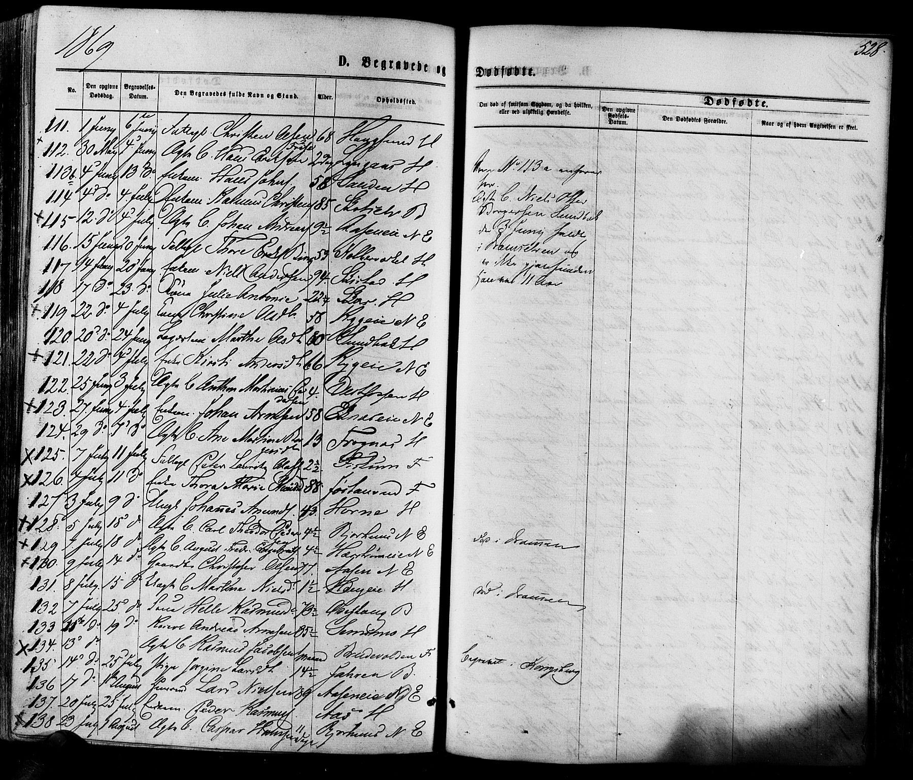 Eiker kirkebøker, AV/SAKO-A-4/F/Fa/L0017: Parish register (official) no. I 17, 1869-1877, p. 528