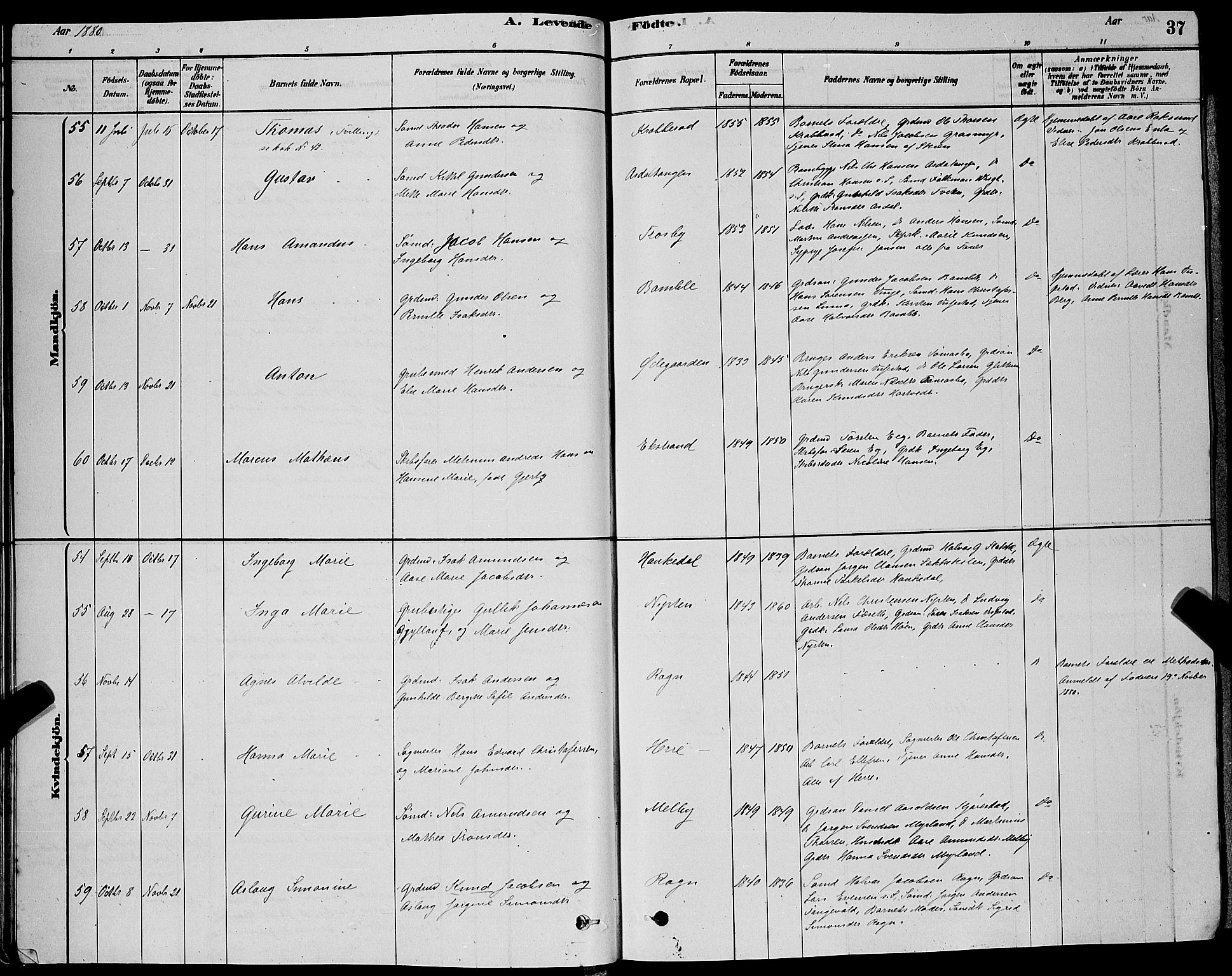 Bamble kirkebøker, AV/SAKO-A-253/G/Ga/L0008: Parish register (copy) no. I 8, 1878-1888, p. 37