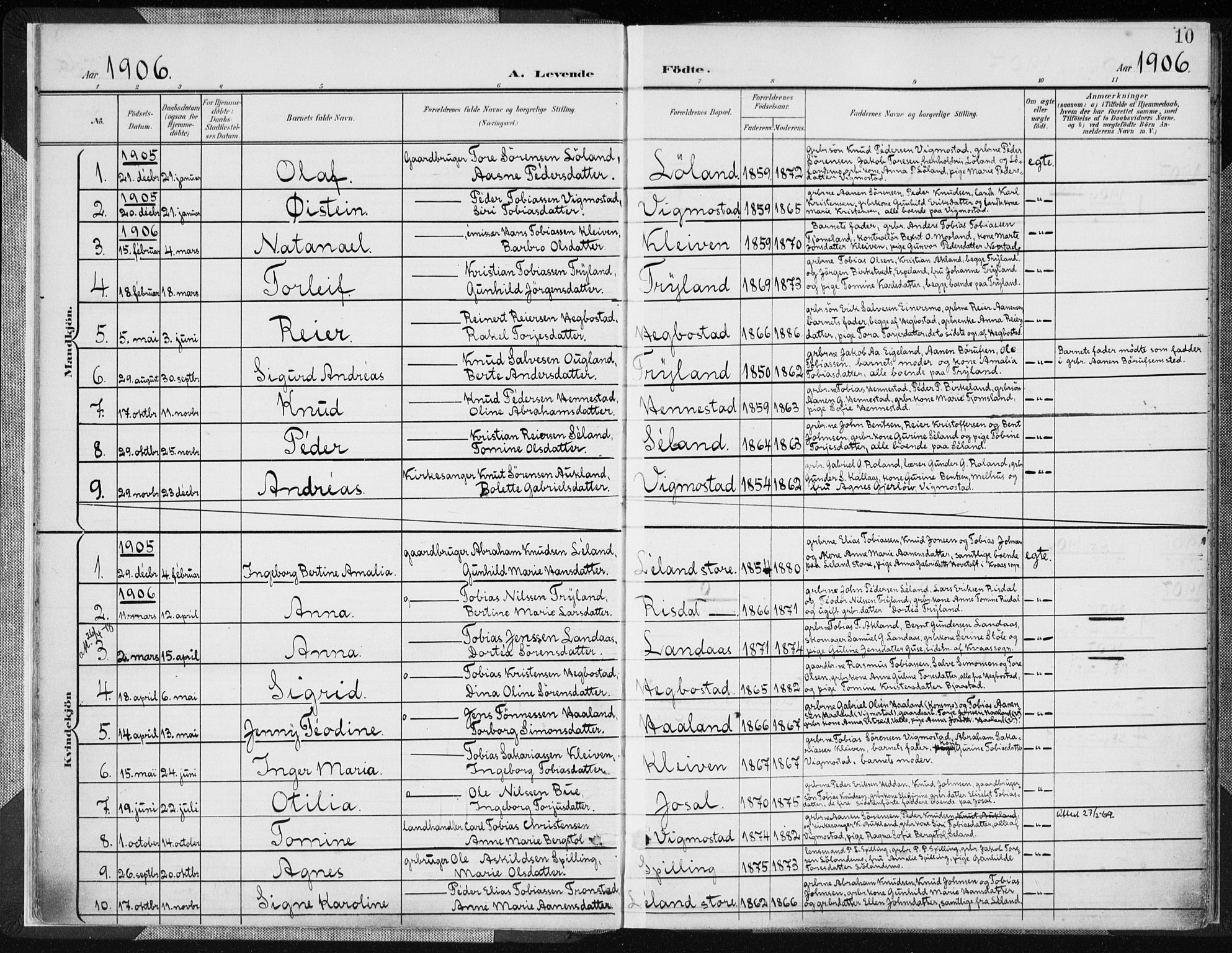Nord-Audnedal sokneprestkontor, SAK/1111-0032/F/Fa/Fab/L0004: Parish register (official) no. A 4, 1901-1917, p. 10
