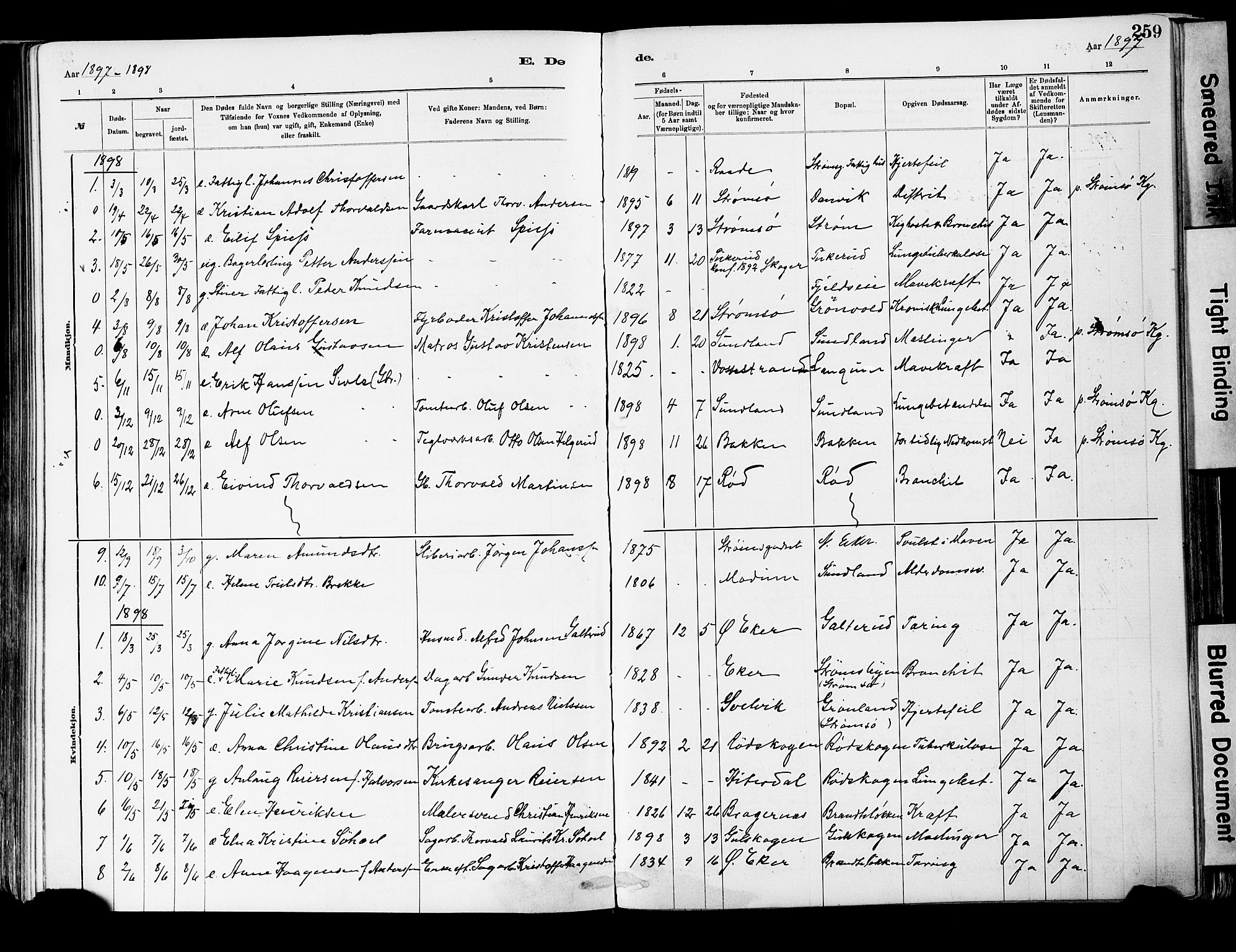 Strømsgodset kirkebøker, AV/SAKO-A-324/F/Fa/L0001: Parish register (official) no. 1, 1885-1909, p. 259