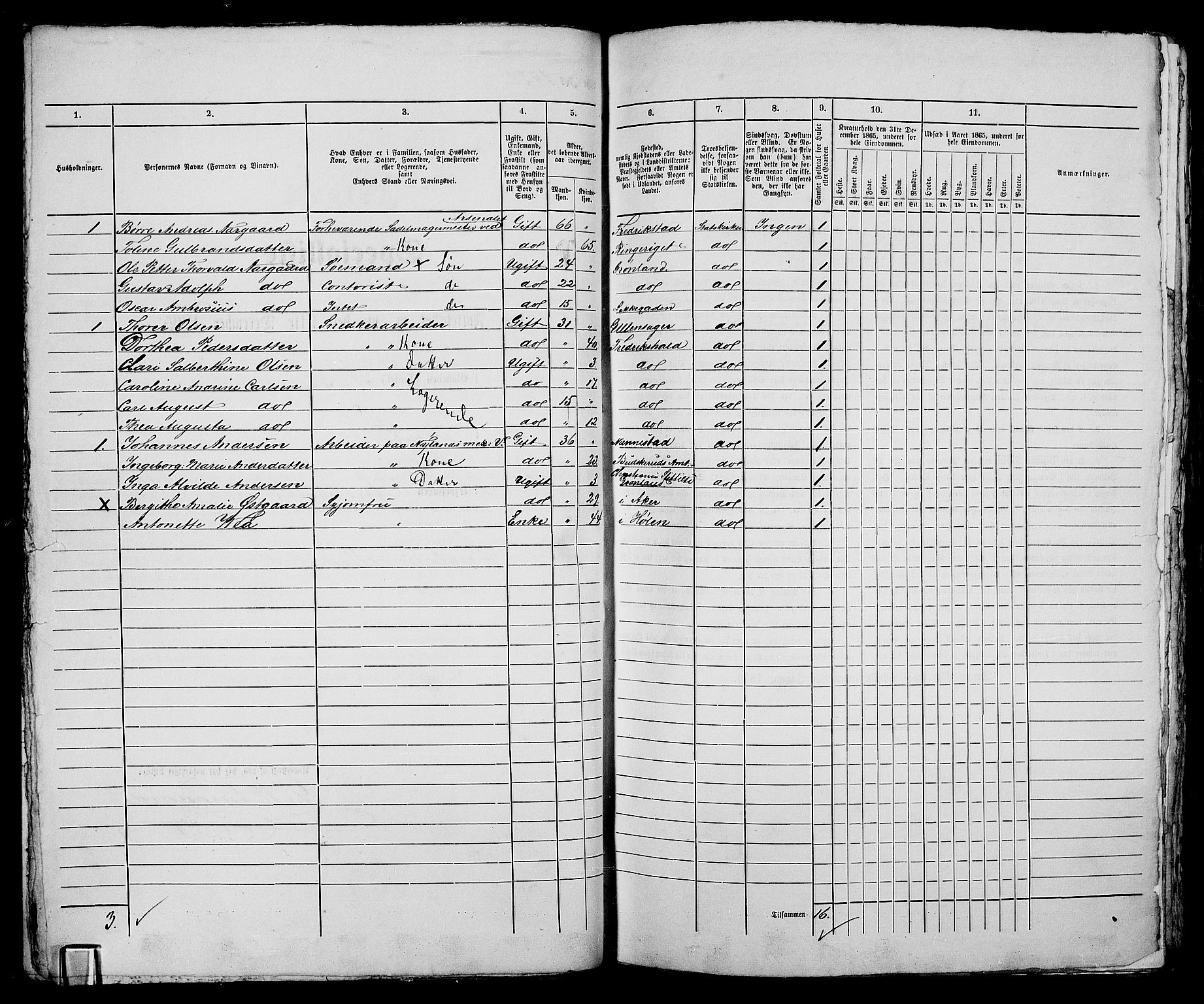 RA, 1865 census for Kristiania, 1865, p. 3229