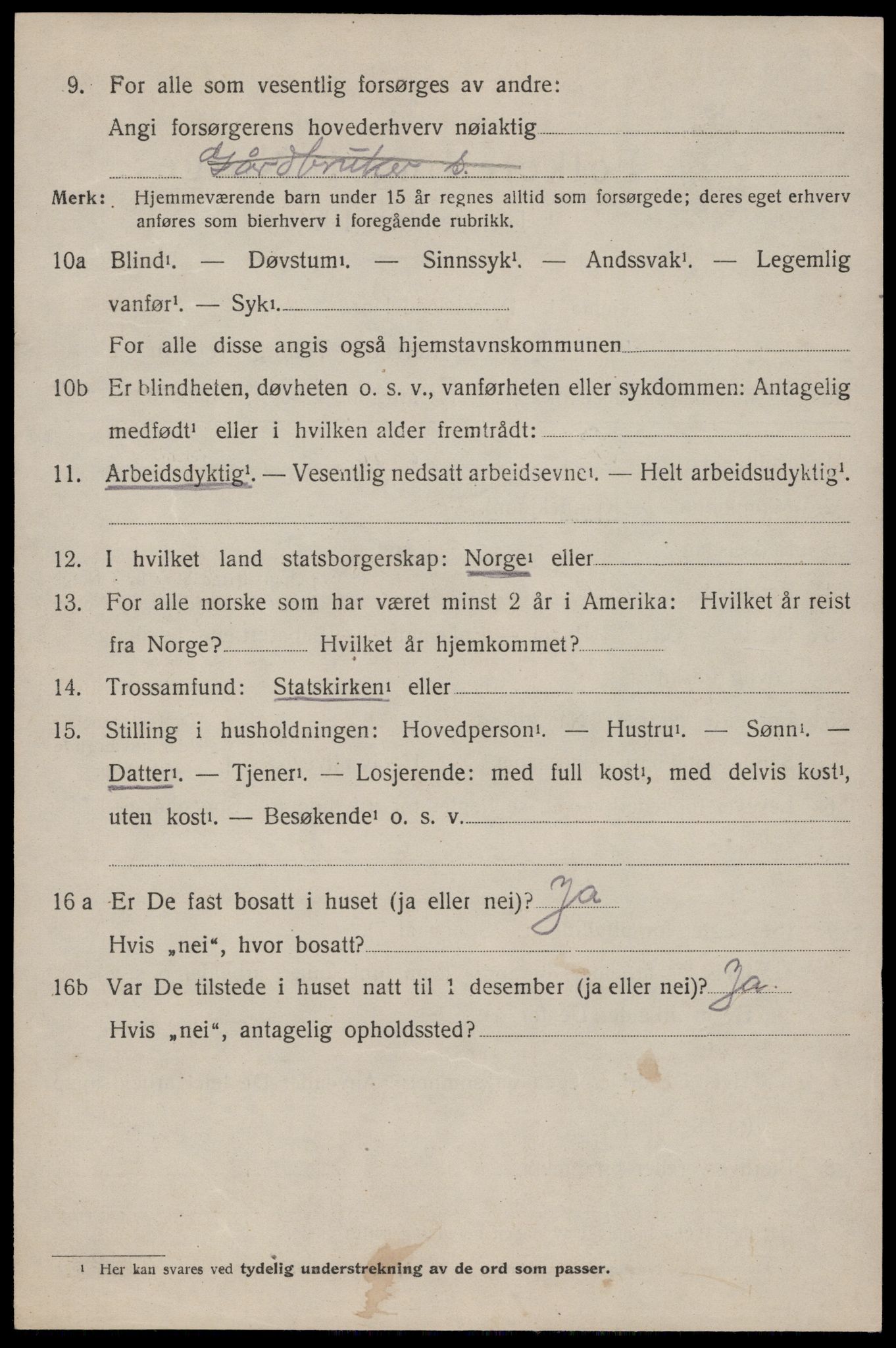 SAKO, 1920 census for Nissedal, 1920, p. 3496