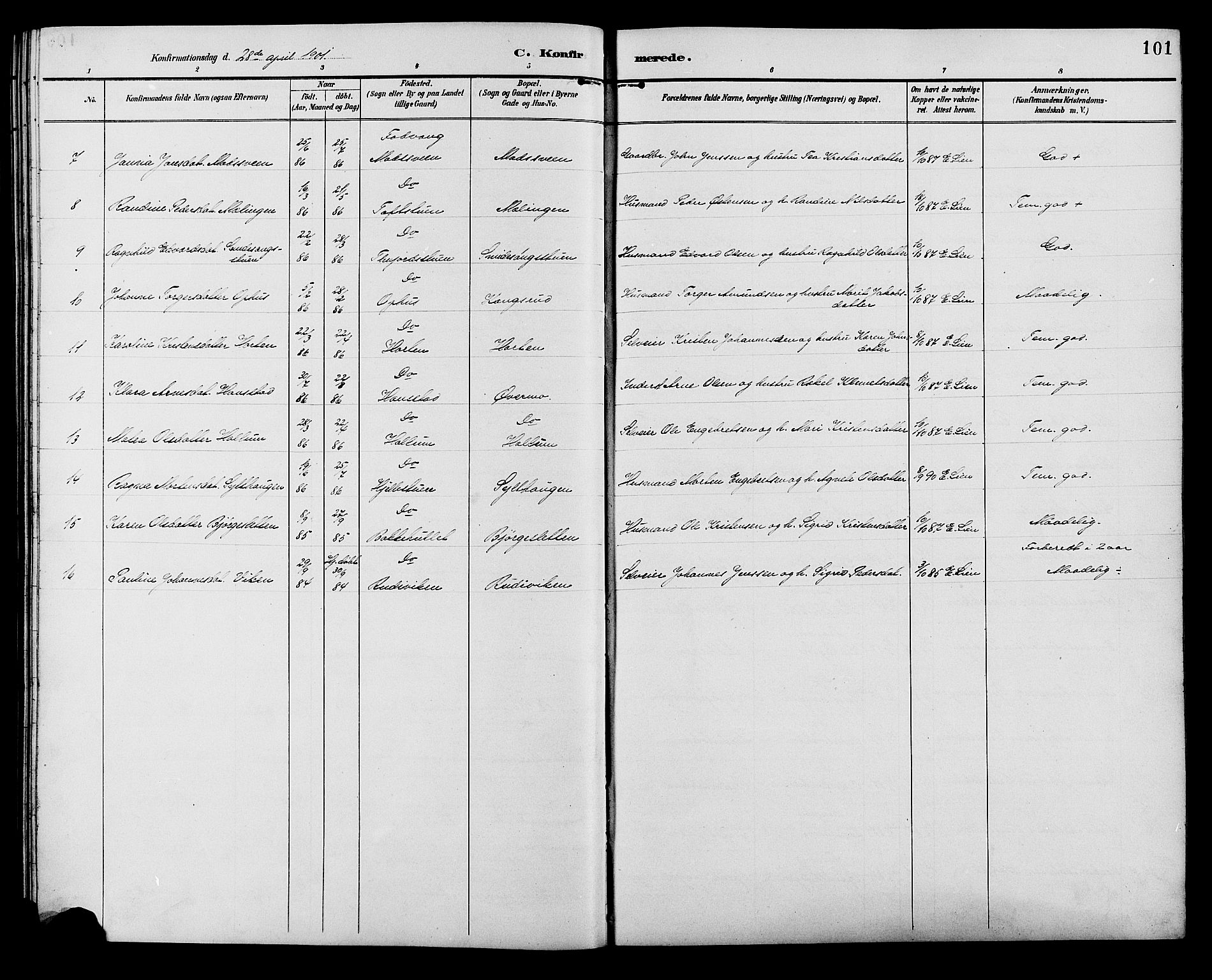 Ringebu prestekontor, SAH/PREST-082/H/Ha/Hab/L0007: Parish register (copy) no. 7, 1890-1910, p. 101