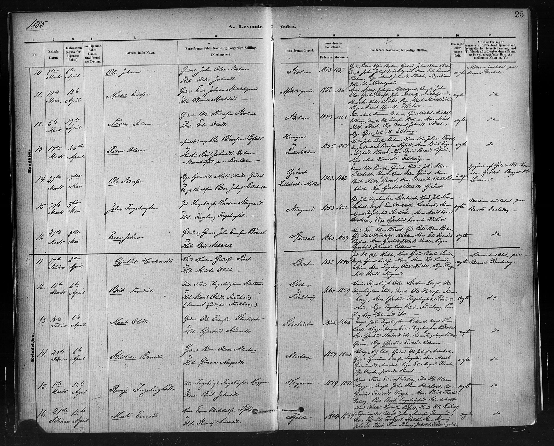 Ministerialprotokoller, klokkerbøker og fødselsregistre - Møre og Romsdal, AV/SAT-A-1454/598/L1069: Parish register (official) no. 598A03, 1882-1895, p. 25