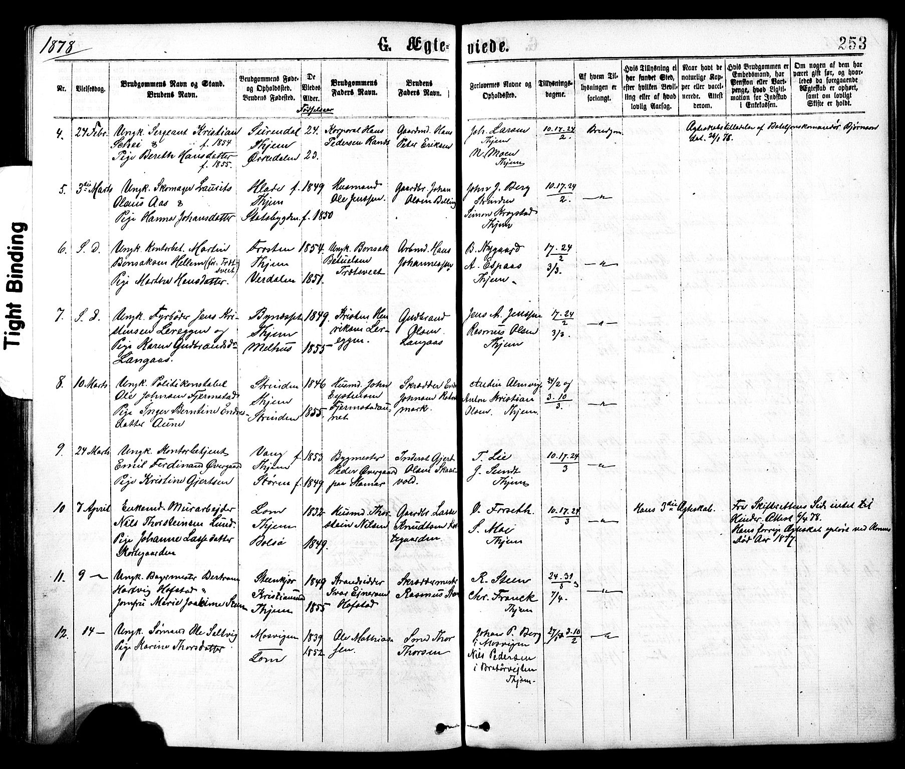 Ministerialprotokoller, klokkerbøker og fødselsregistre - Sør-Trøndelag, SAT/A-1456/602/L0118: Parish register (official) no. 602A16, 1873-1879, p. 253