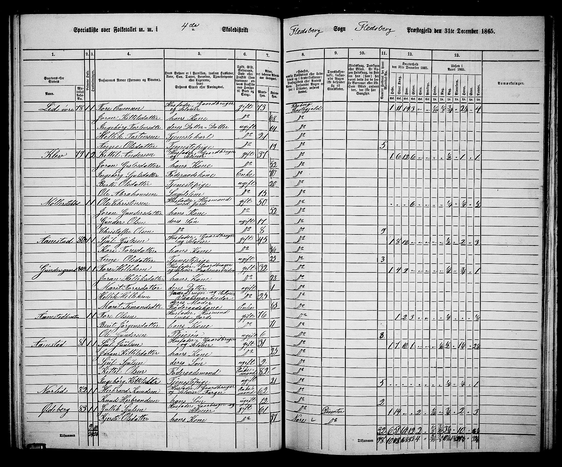 RA, 1865 census for Flesberg, 1865, p. 81