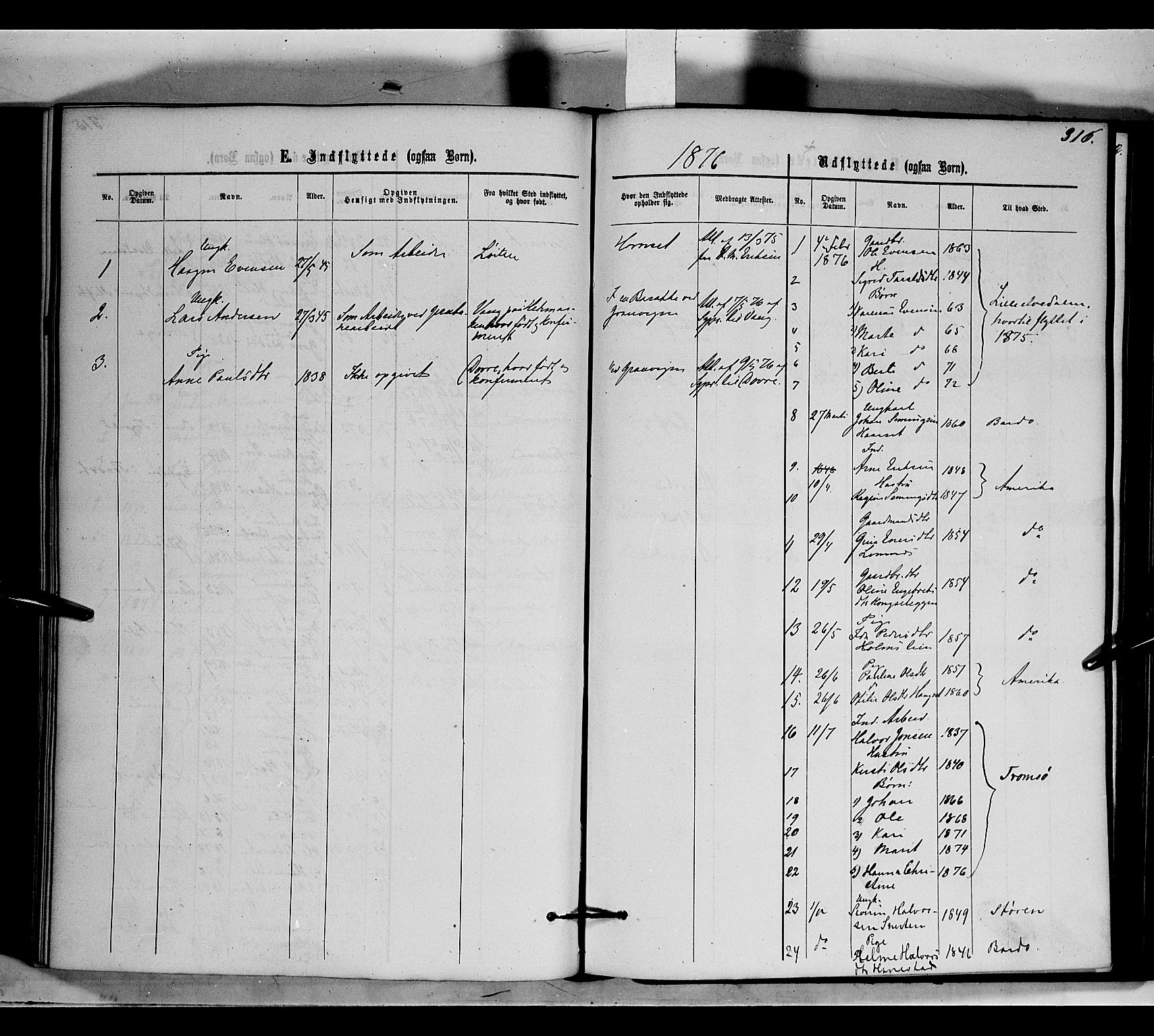 Rendalen prestekontor, SAH/PREST-054/H/Ha/Haa/L0006: Parish register (official) no. 6, 1867-1877, p. 316