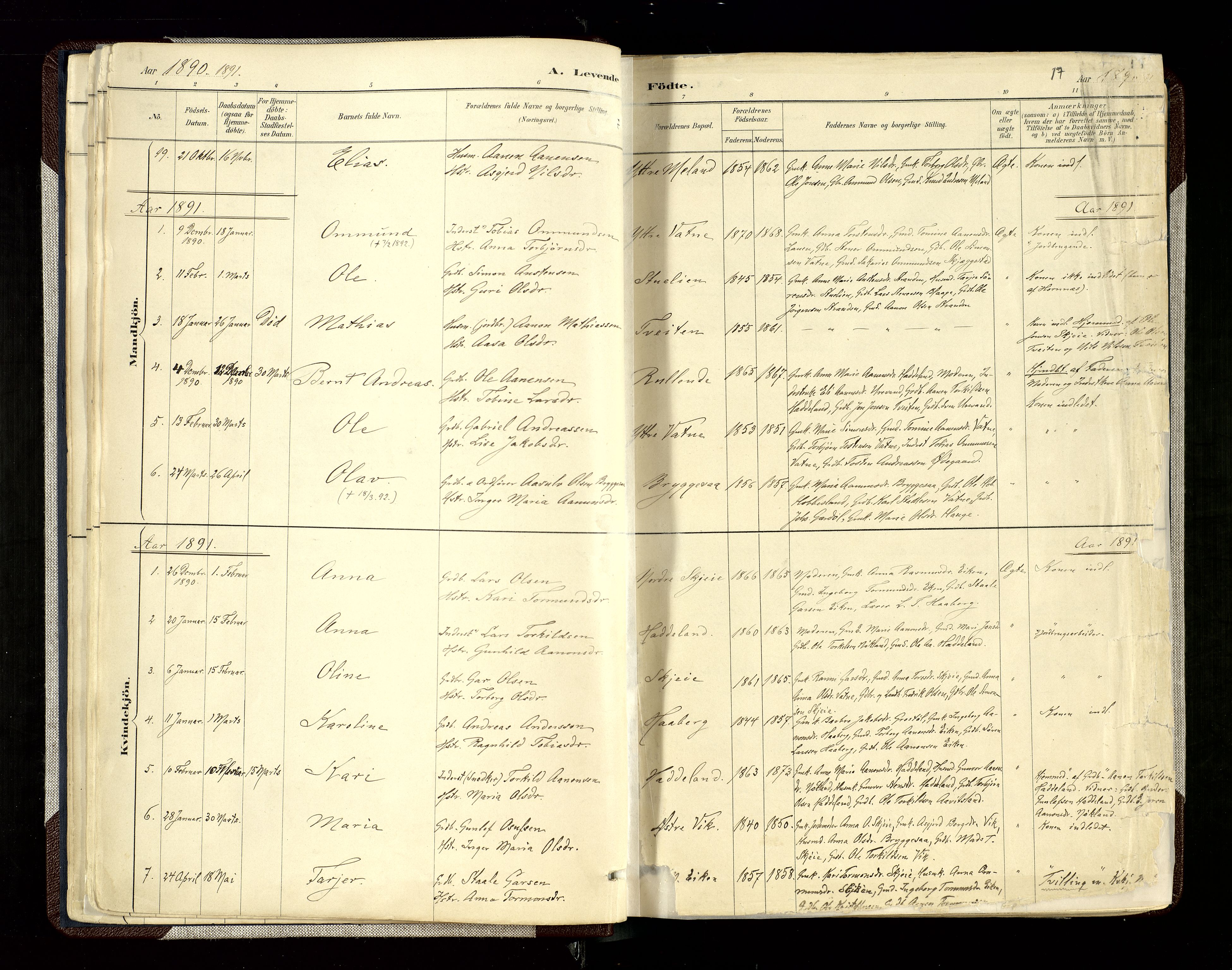 Hægebostad sokneprestkontor, SAK/1111-0024/F/Fa/Fab/L0004: Parish register (official) no. A 4, 1887-1929, p. 17
