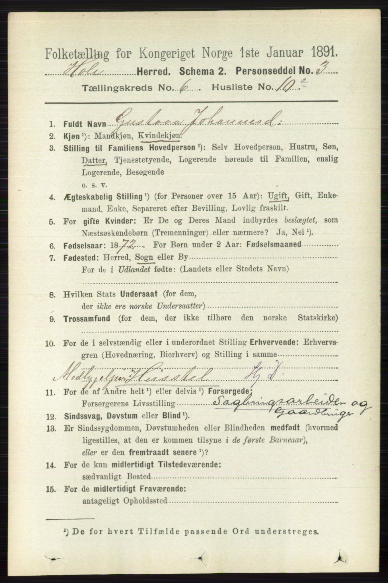 RA, 1891 census for 0612 Hole, 1891, p. 3165