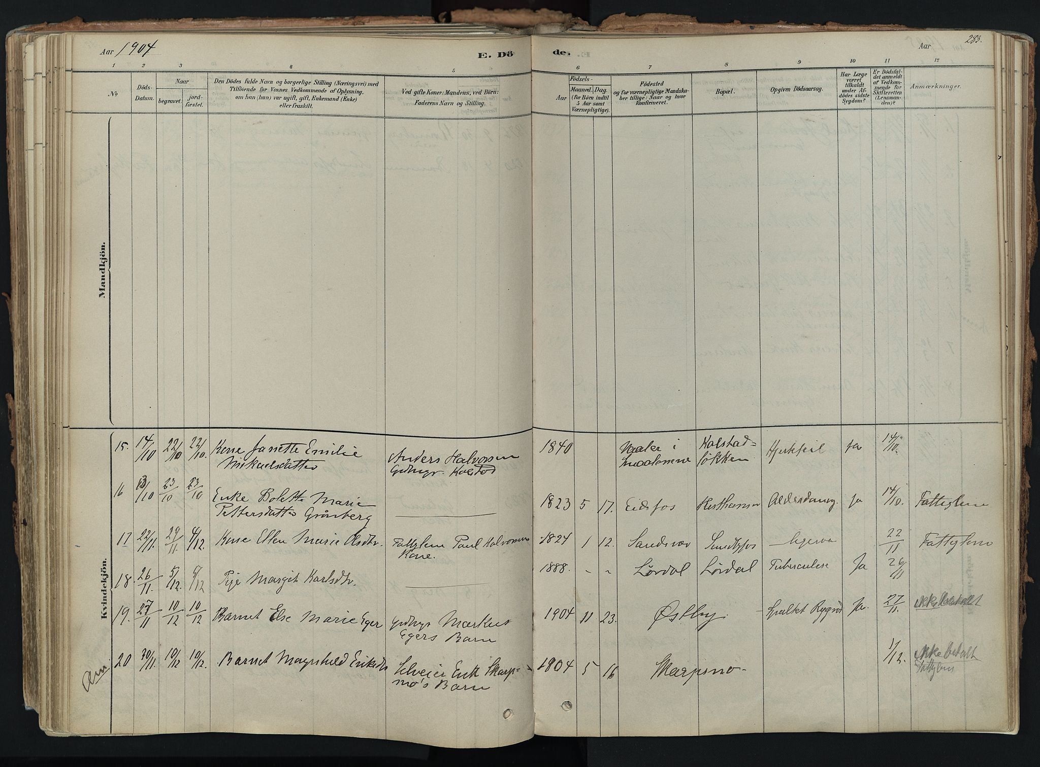 Hof kirkebøker, AV/SAKO-A-64/F/Fa/L0007: Parish register (official) no. I 7, 1878-1940, p. 283