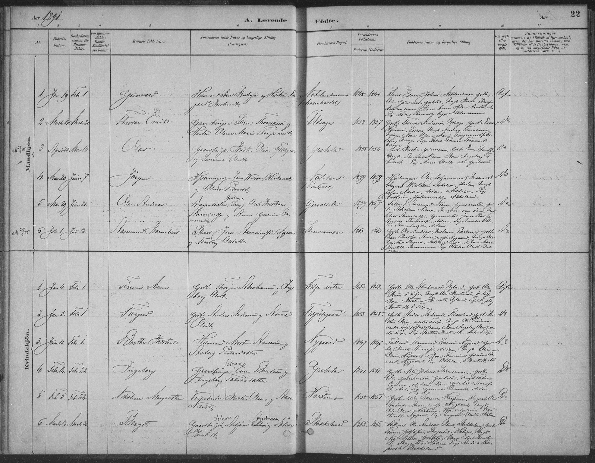 Søgne sokneprestkontor, SAK/1111-0037/F/Fa/Faa/L0003: Parish register (official) no. A 3, 1883-1910, p. 22