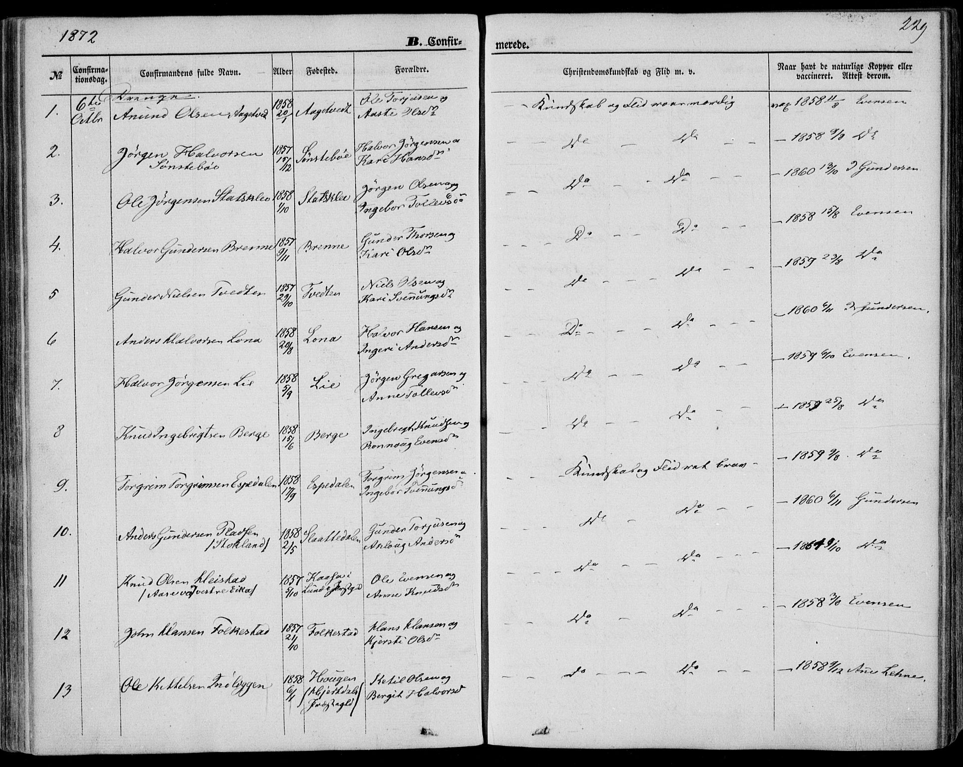 Bø kirkebøker, SAKO/A-257/F/Fa/L0009: Parish register (official) no. 9, 1862-1879, p. 229