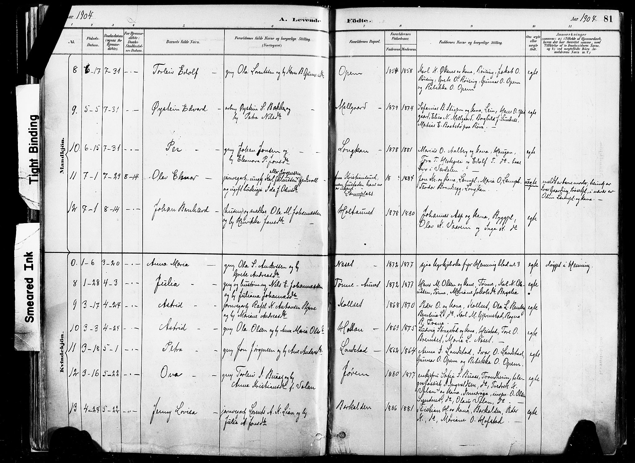 Ministerialprotokoller, klokkerbøker og fødselsregistre - Nord-Trøndelag, SAT/A-1458/735/L0351: Parish register (official) no. 735A10, 1884-1908, p. 81