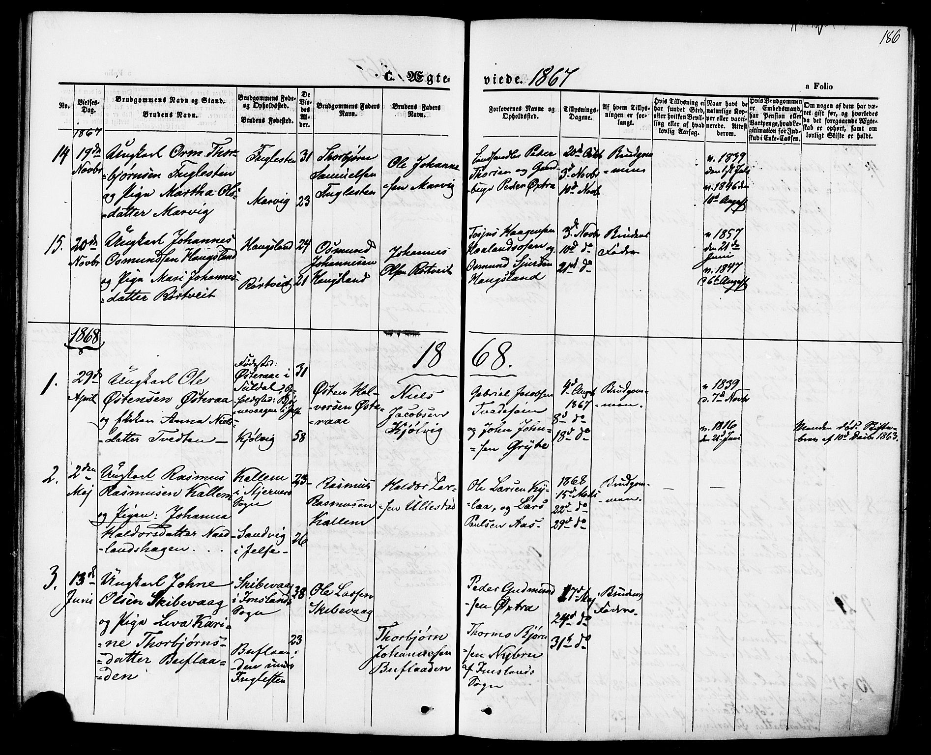 Jelsa sokneprestkontor, SAST/A-101842/01/IV: Parish register (official) no. A 8, 1867-1883, p. 186