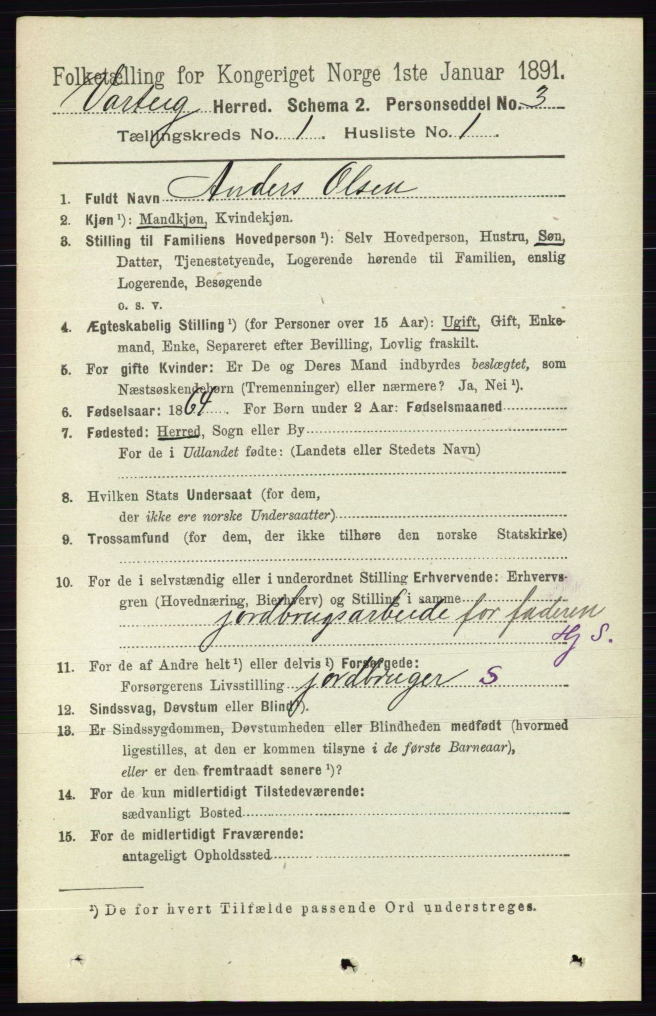 RA, 1891 census for 0114 Varteig, 1891, p. 95