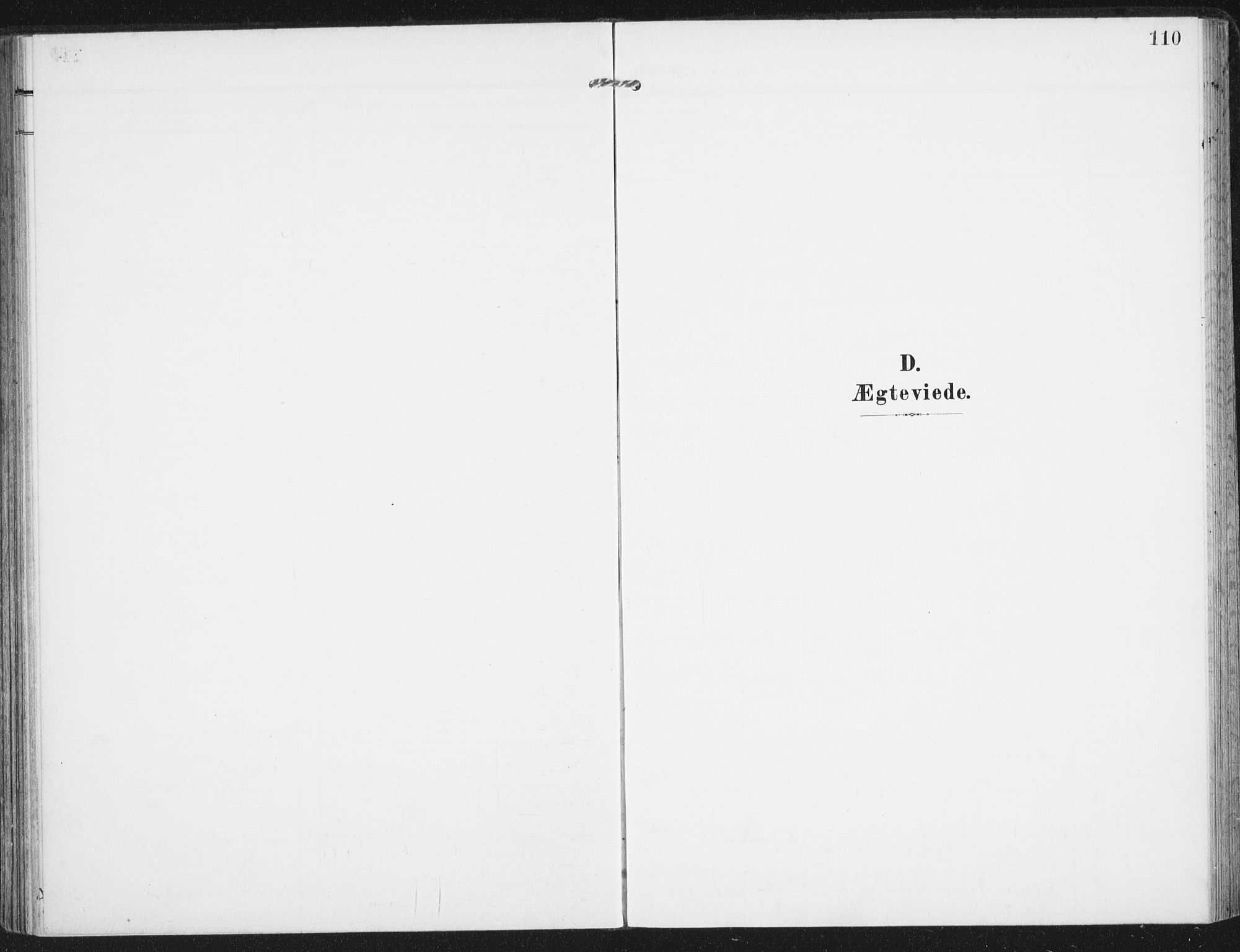 Ministerialprotokoller, klokkerbøker og fødselsregistre - Nordland, AV/SAT-A-1459/885/L1206: Parish register (official) no. 885A07, 1905-1915, p. 110