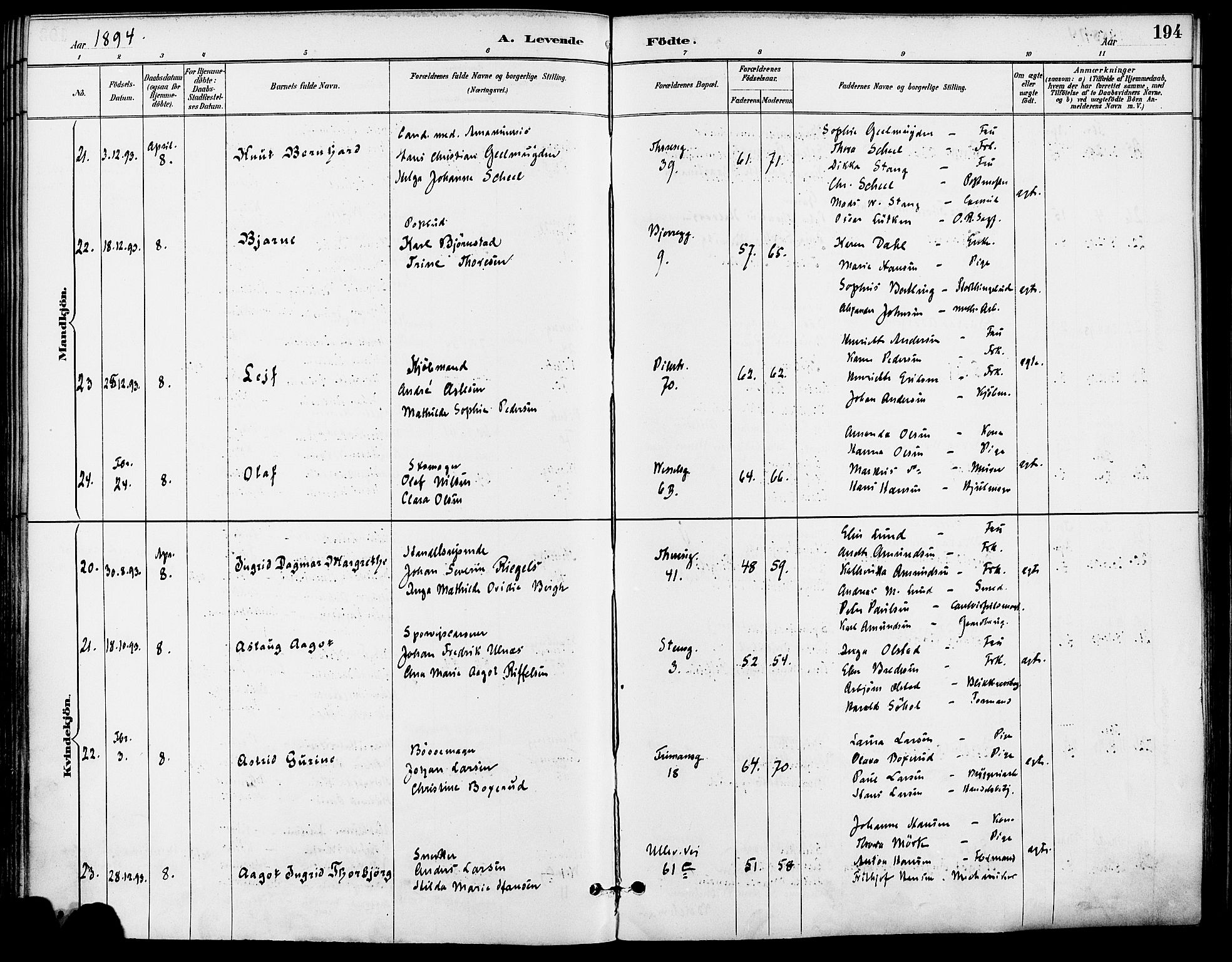 Gamle Aker prestekontor Kirkebøker, AV/SAO-A-10617a/F/L0008: Parish register (official) no. 8, 1887-1896, p. 194