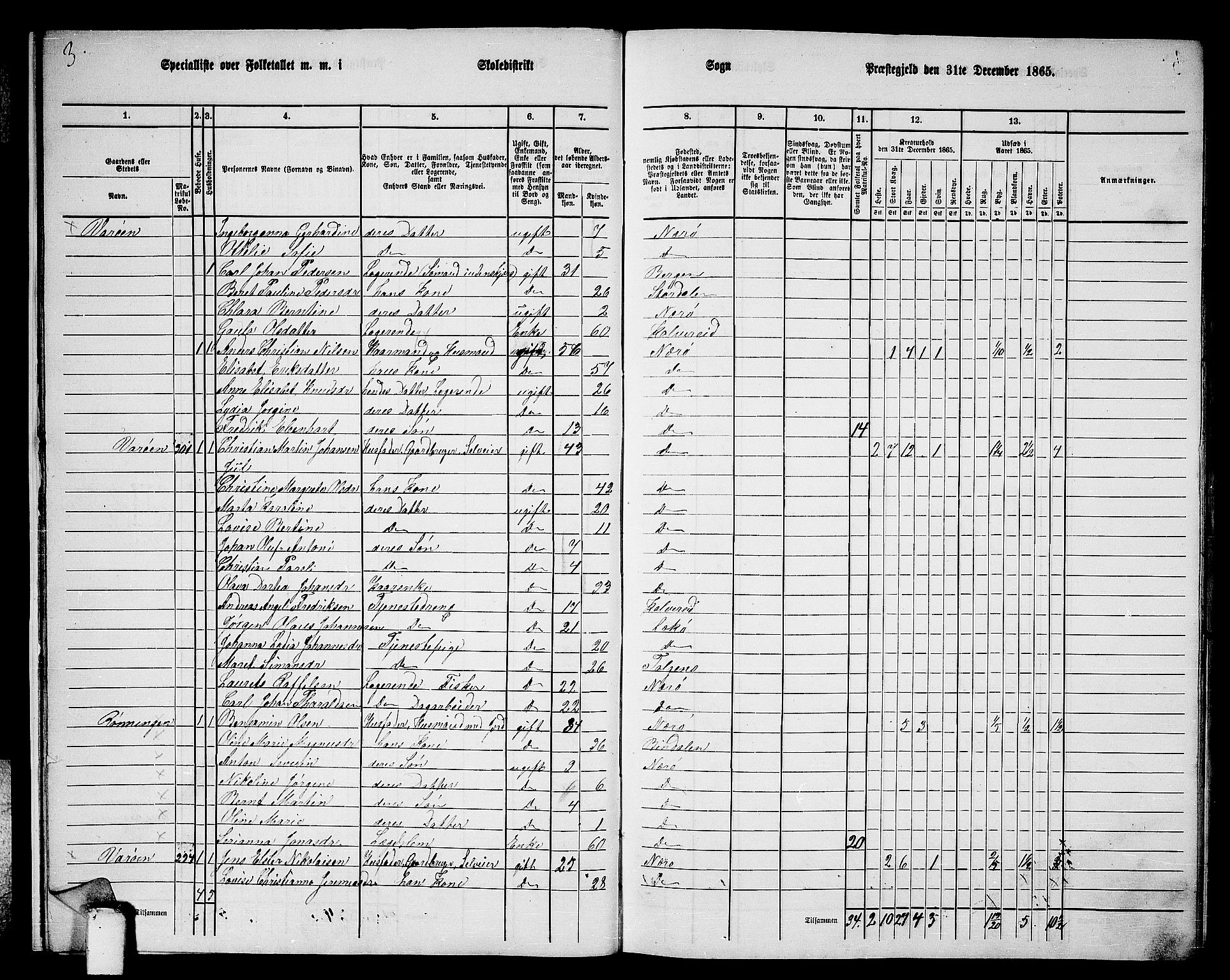 RA, 1865 census for Nærøy, 1865, p. 13