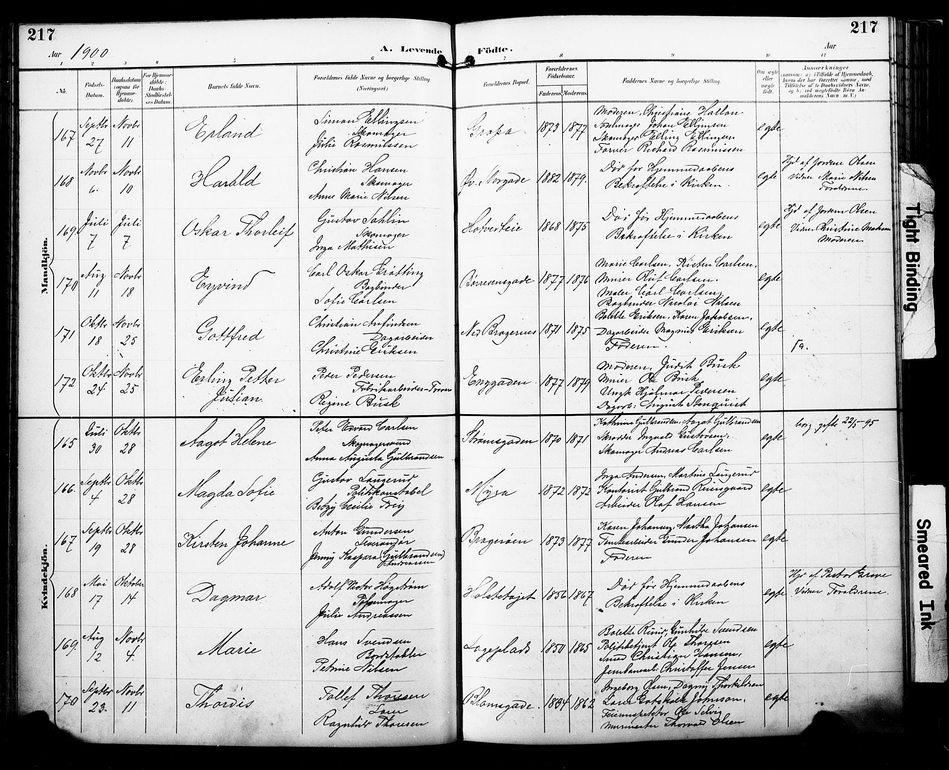 Bragernes kirkebøker, AV/SAKO-A-6/F/Fb/L0008: Parish register (official) no. II 8, 1894-1902, p. 217