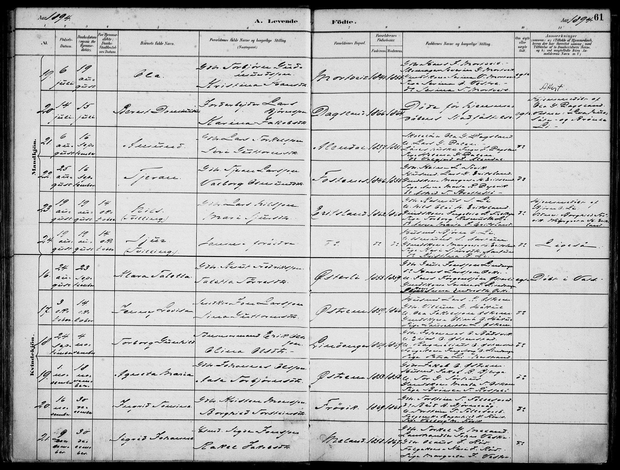 Skjold sokneprestkontor, AV/SAST-A-101847/H/Ha/Haa/L0010: Parish register (official) no. A 10, 1882-1897, p. 61